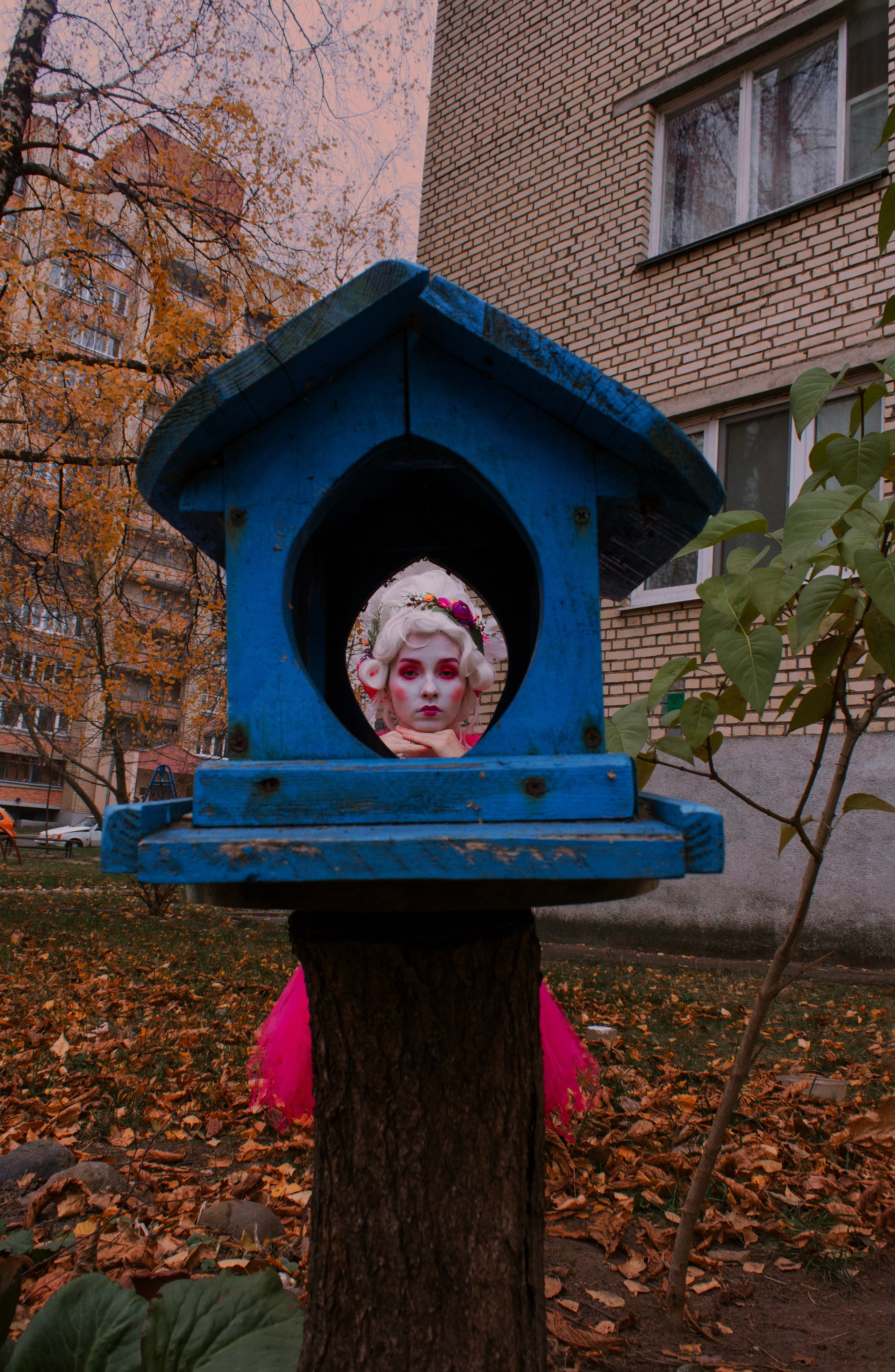 Дама, а вы к нам откуда?