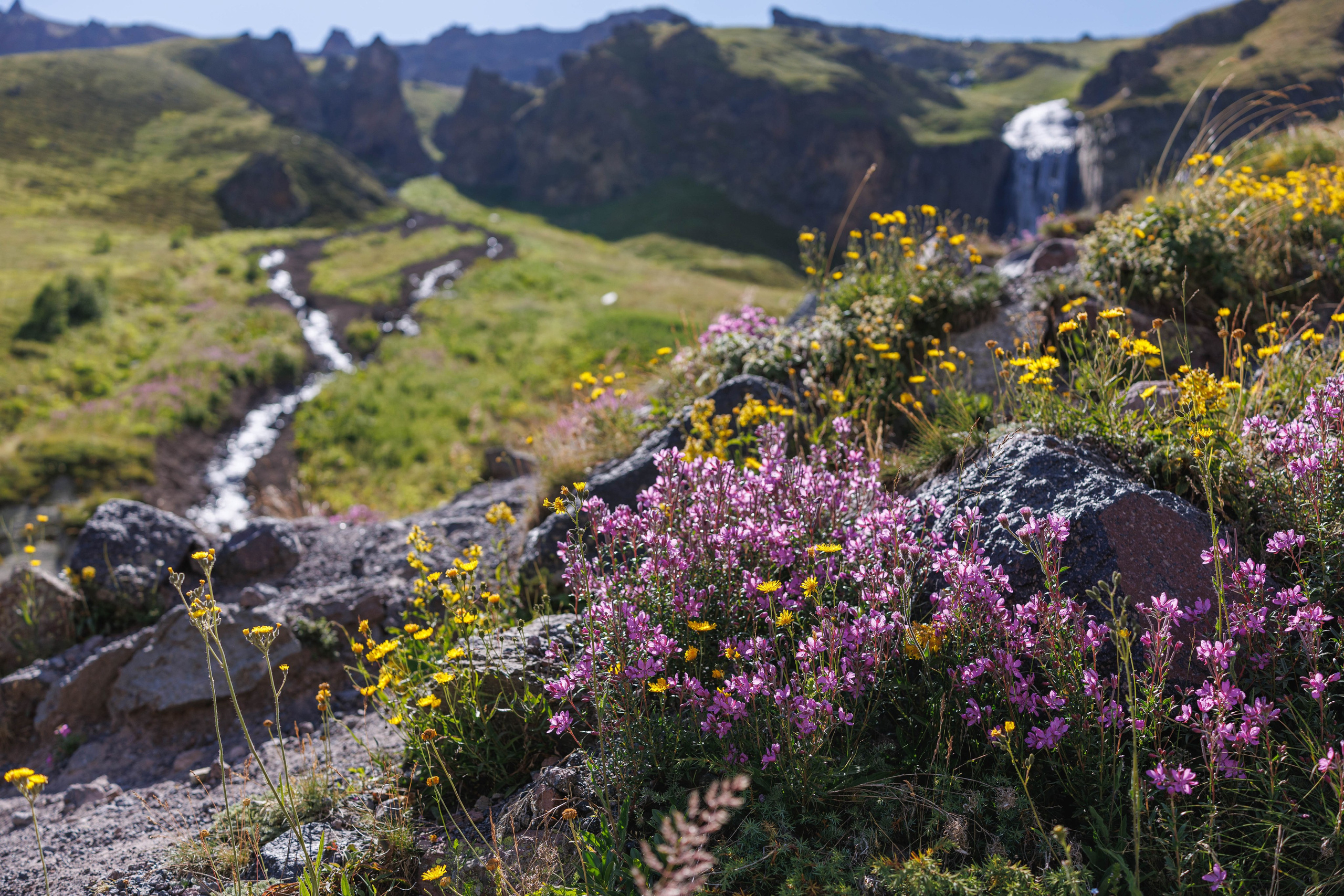 Путешествия. Фотограф в Москве Повеквечных Софья