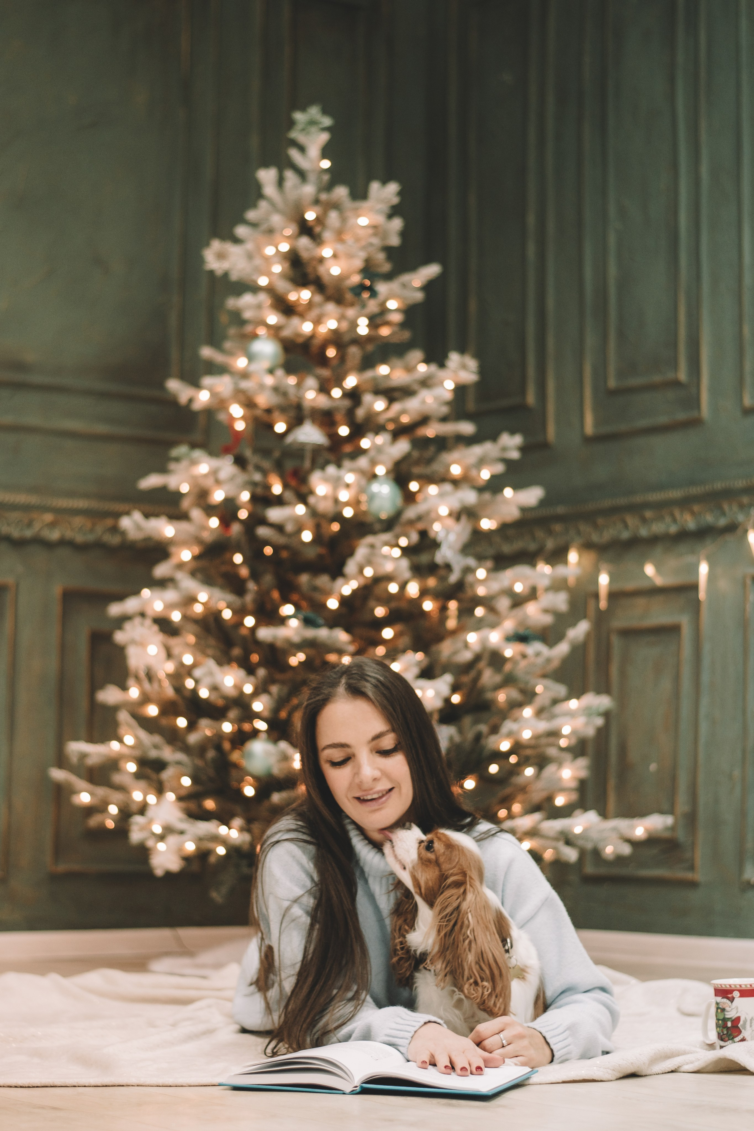 Новогодняя история для Юлии. Семейный и свадебный фотограф Губкинский и Ставрополь