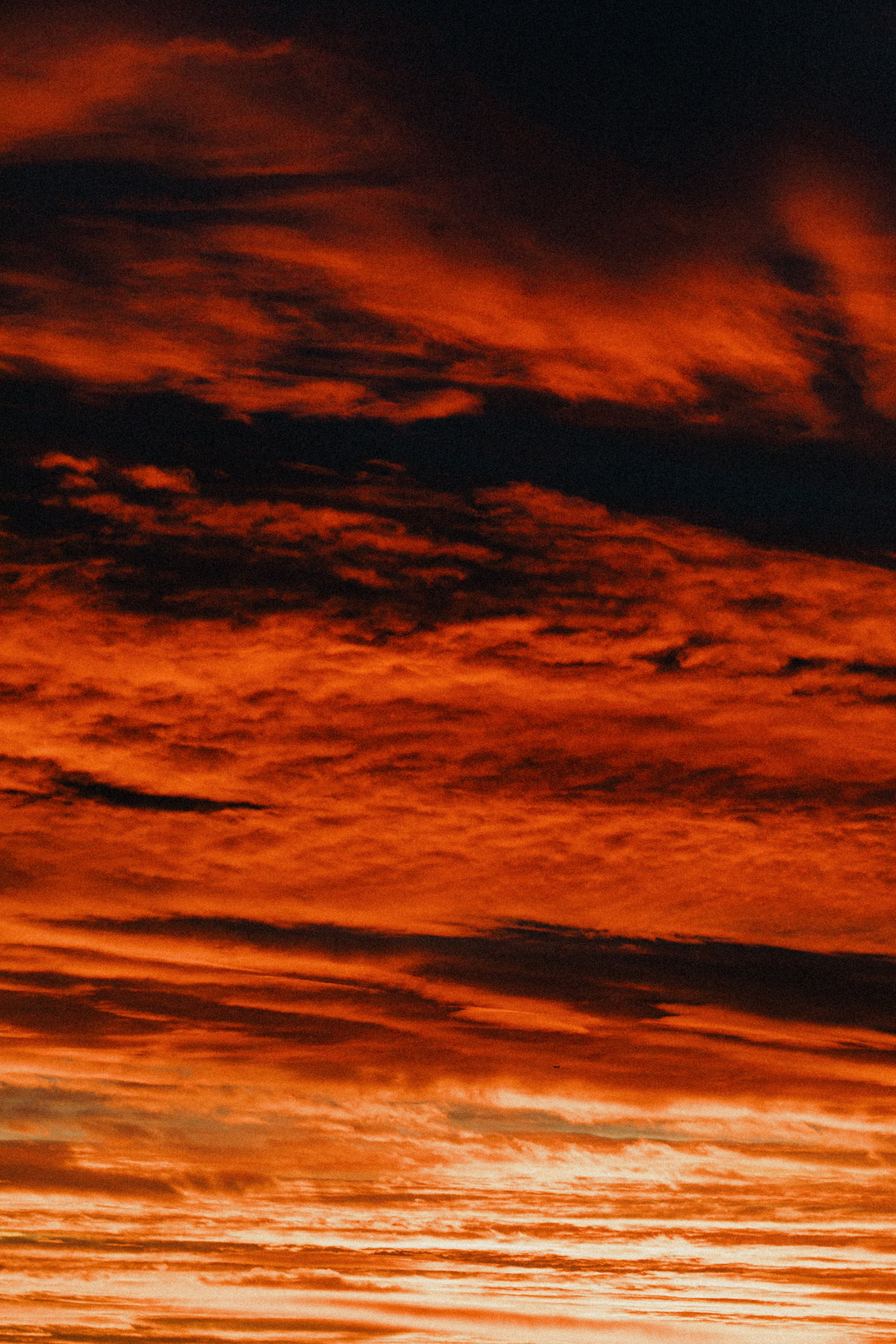 Christmas Market Istanbul. Свадебный и репортажный фотограф