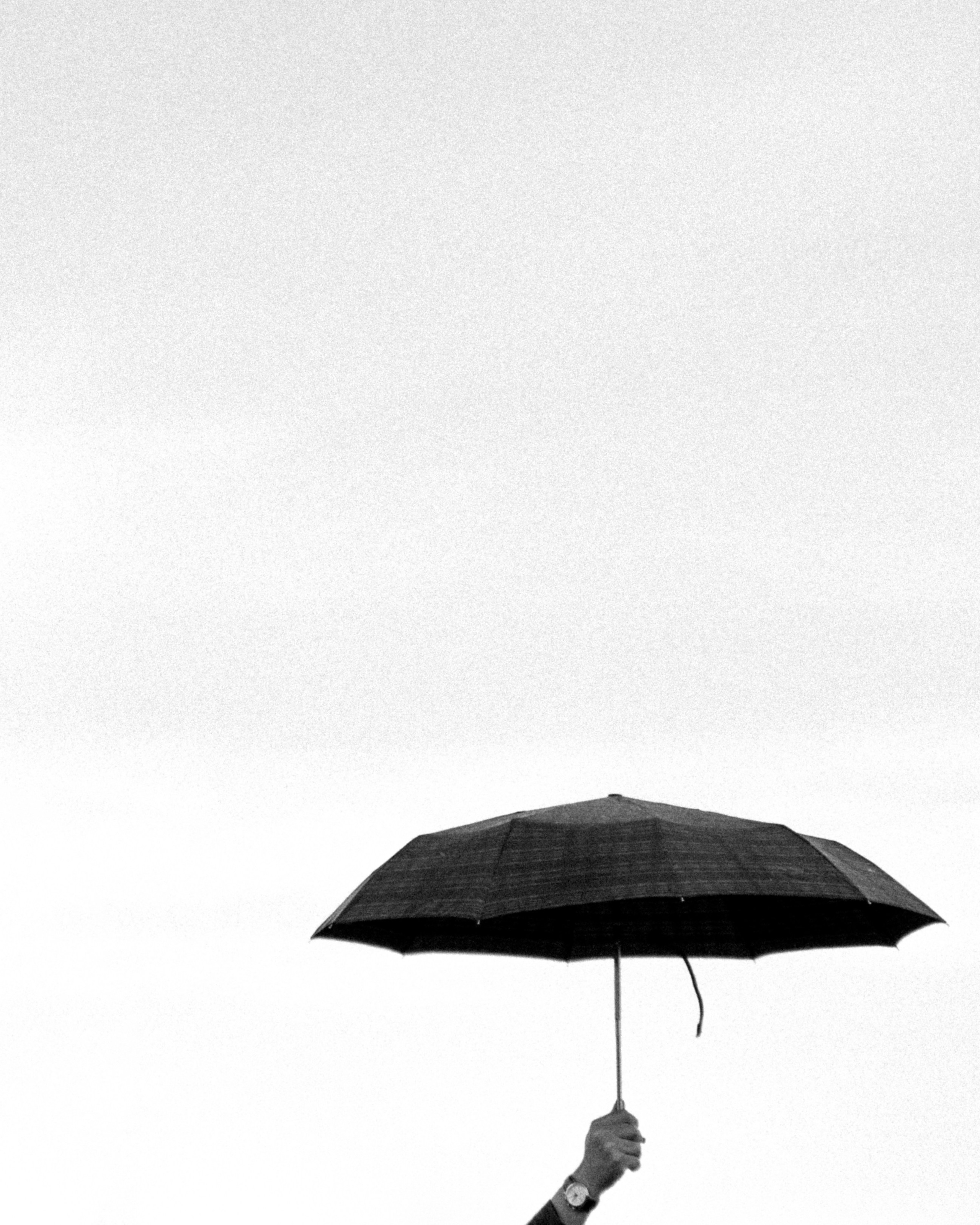 Любовь и уют. Свадебный фотограф в Краснодаре и Сочи Винидиктова Екатерина