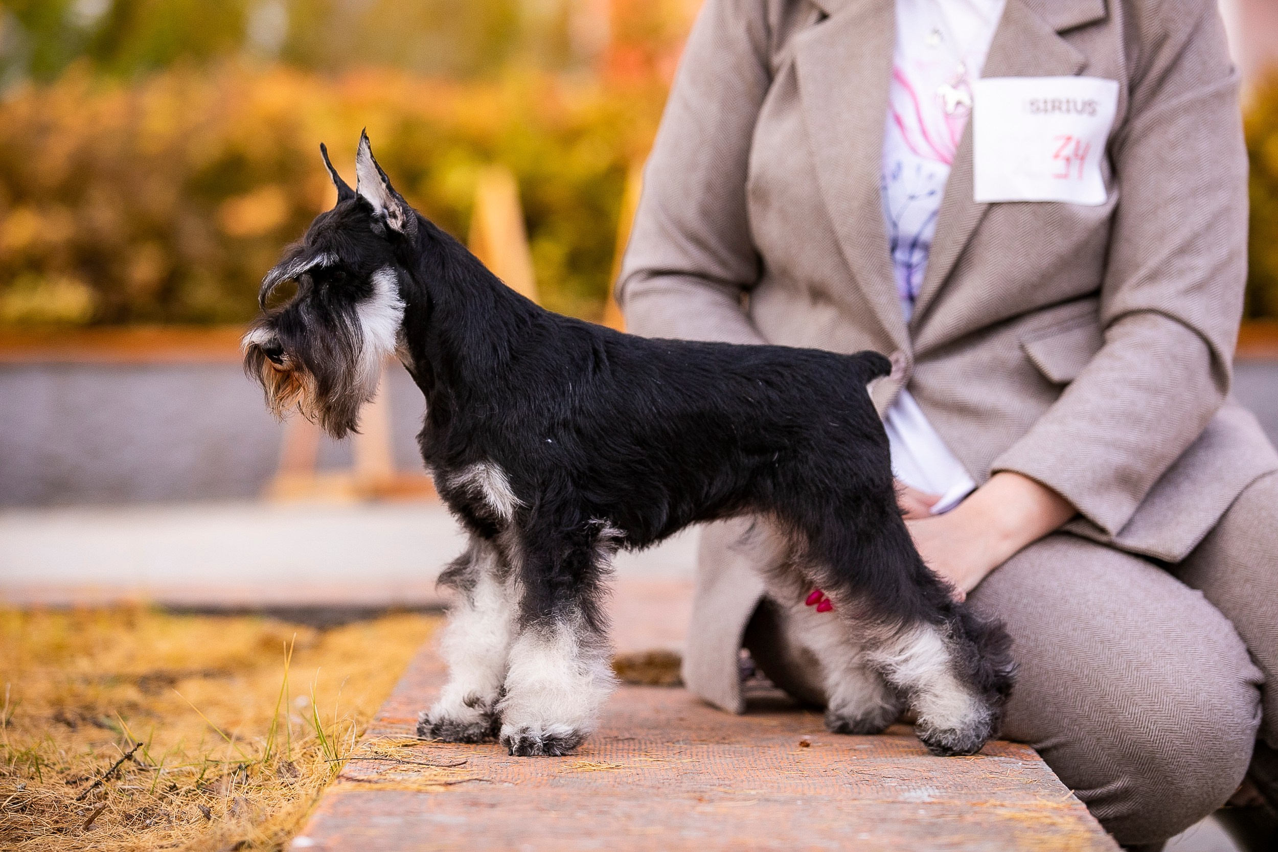 Авторские пресеты для обработки фото. Фотограф — видеограф Алиса Дружинина