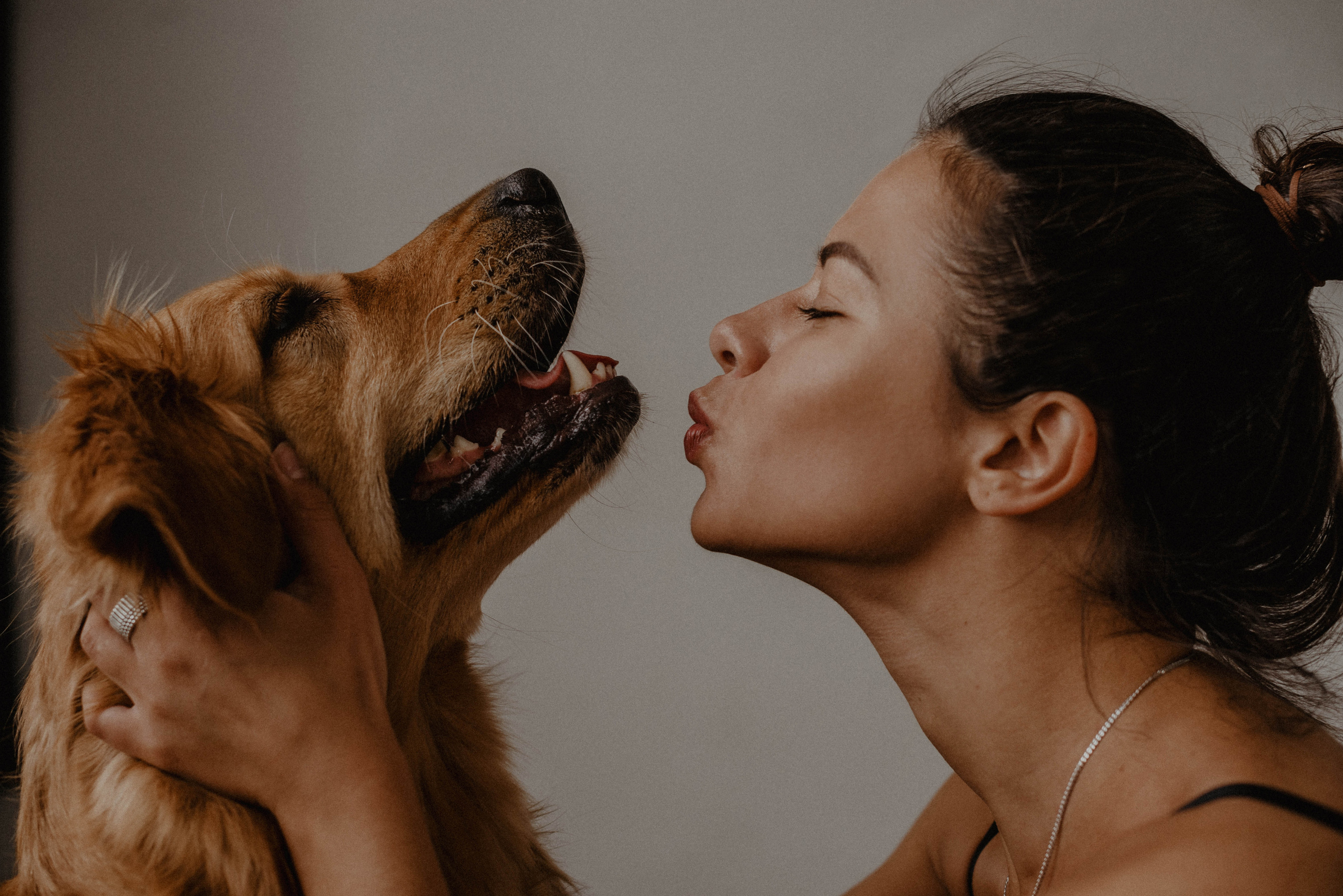 Юля и Тофу🐶❤️. Свадебный фотограф Оля Григунова