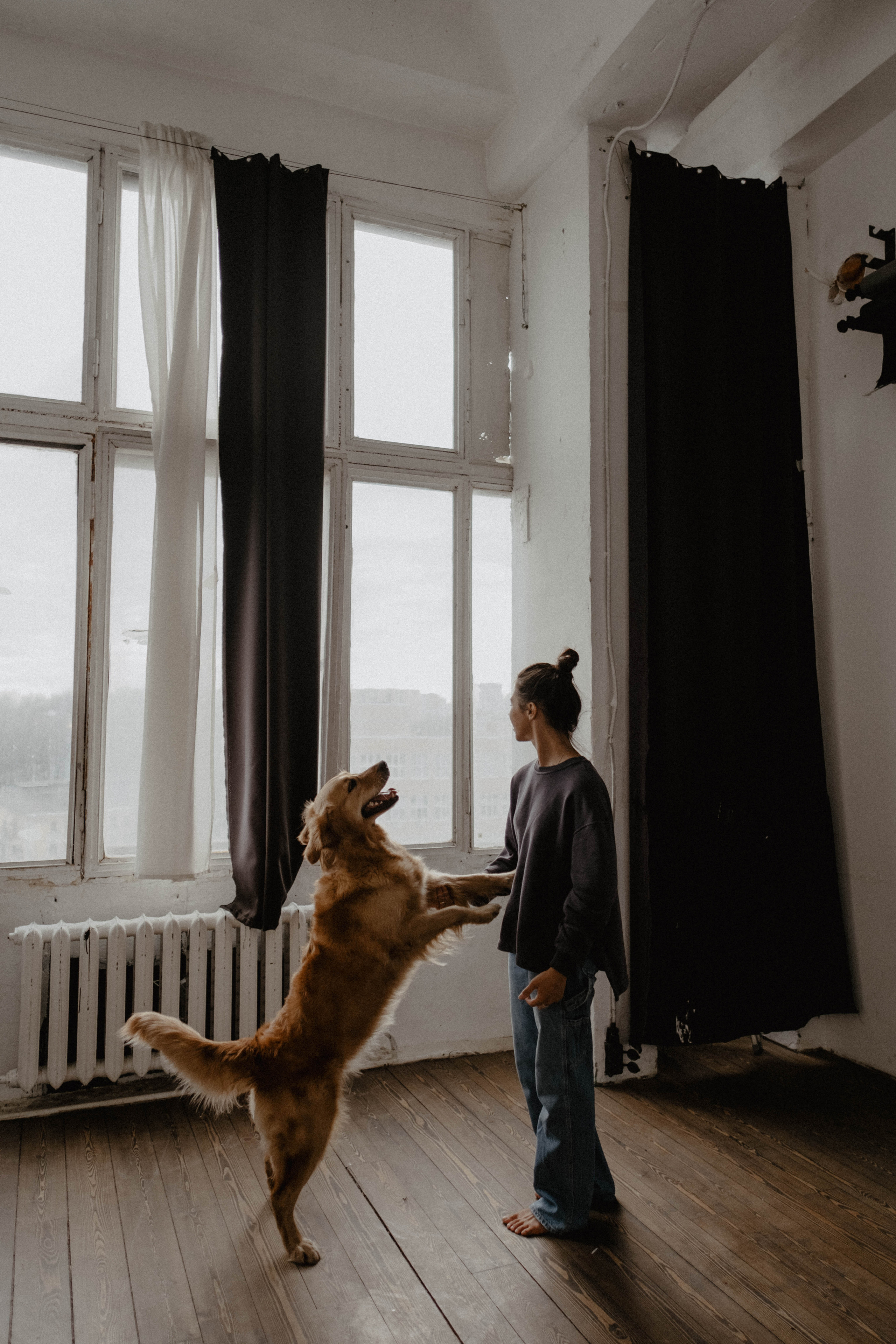 Юля и Тофу🐶❤️. Свадебный фотограф Оля Григунова