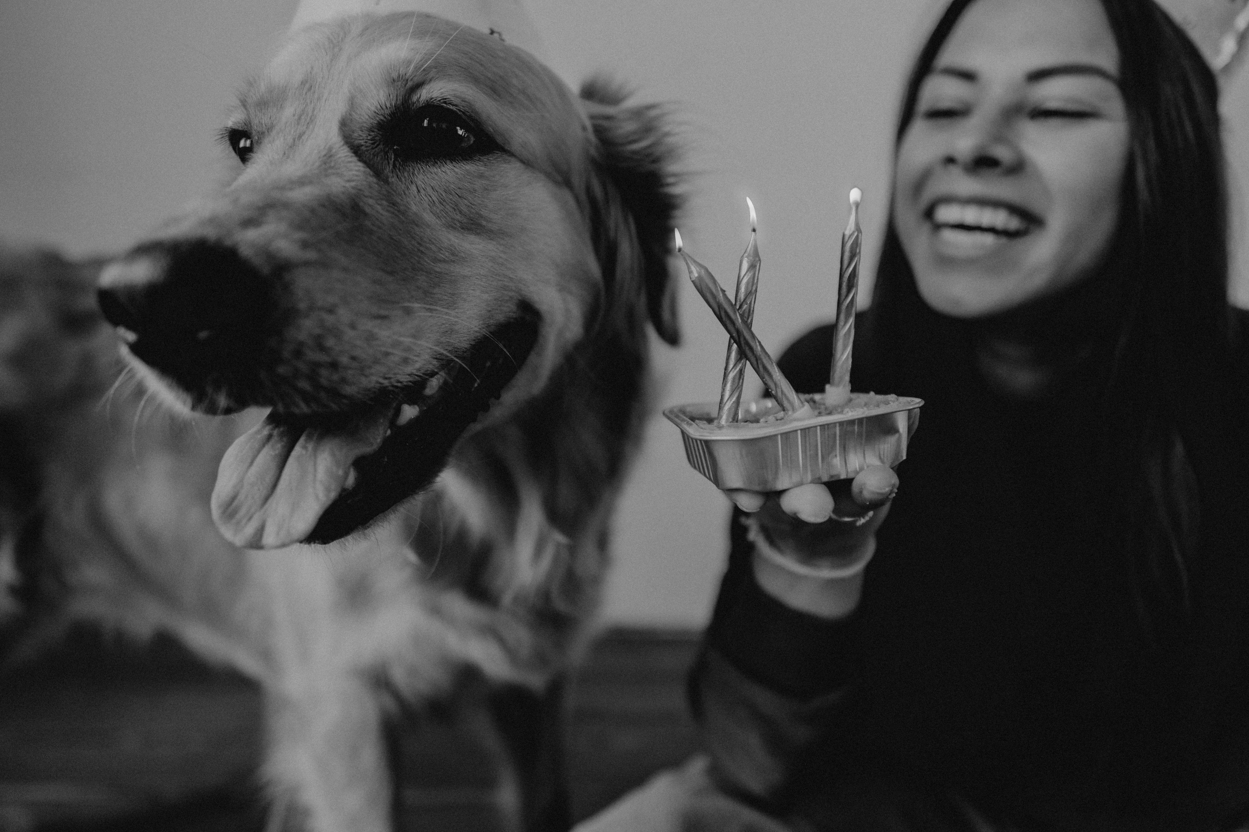 Юля и Тофу🐶❤️. Свадебный фотограф Оля Григунова