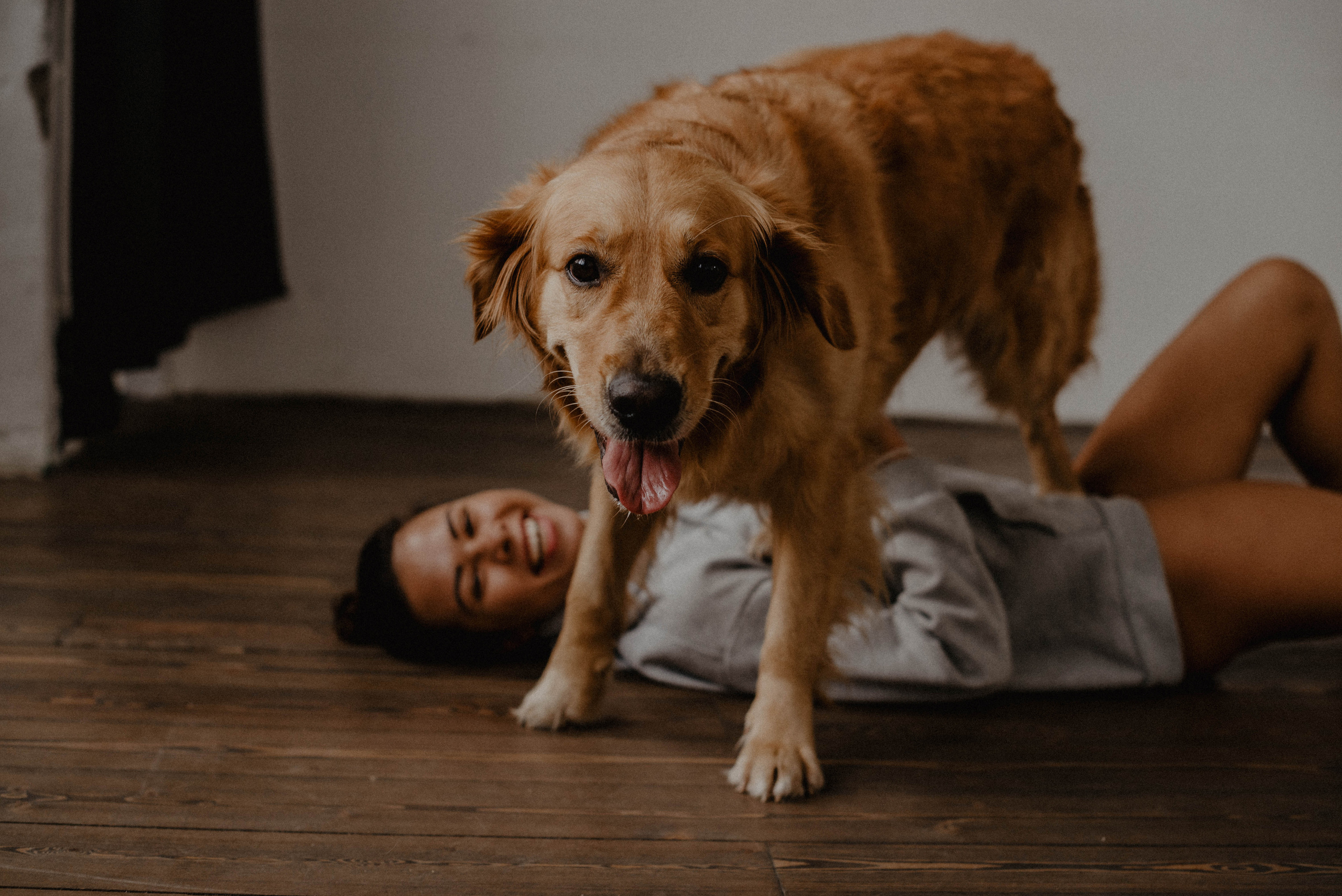 Юля и Тофу🐶❤️. Свадебный фотограф Оля Григунова