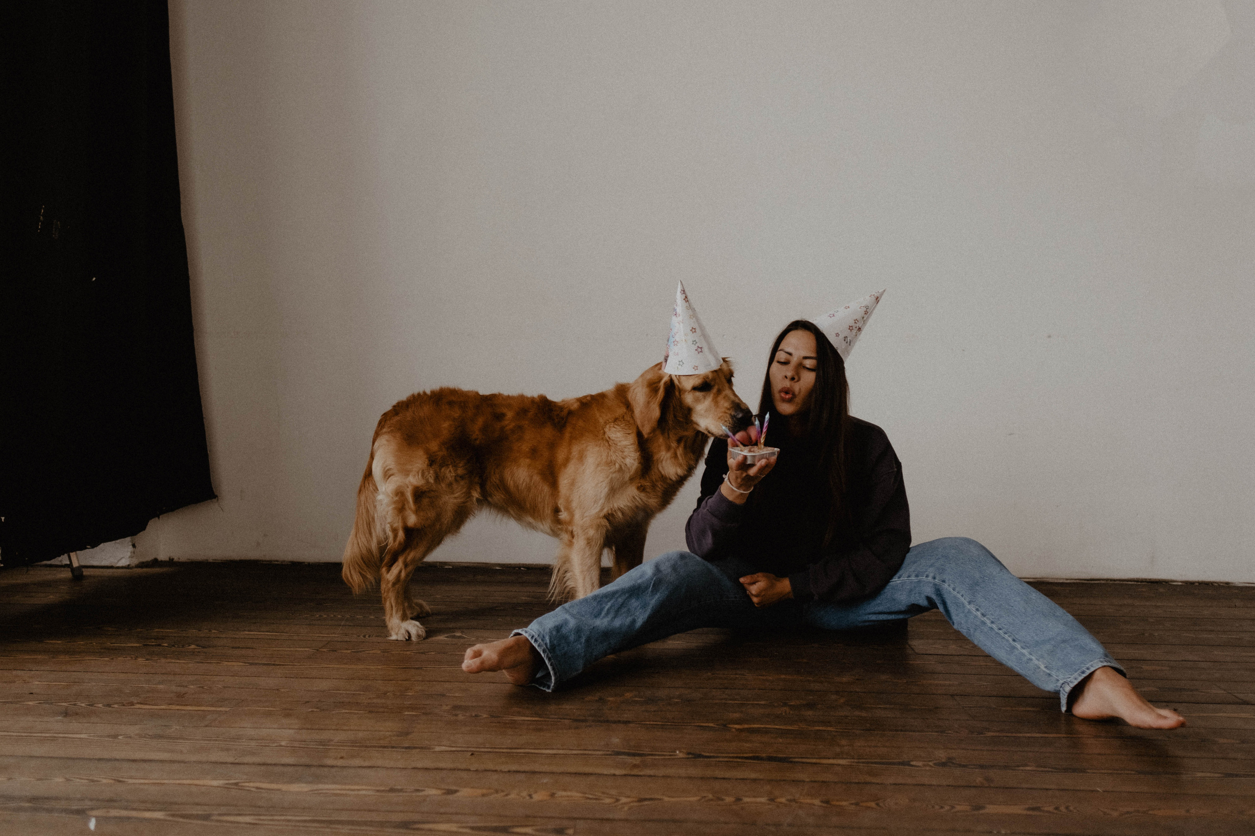 Юля и Тофу🐶❤️. Свадебный фотограф Оля Григунова