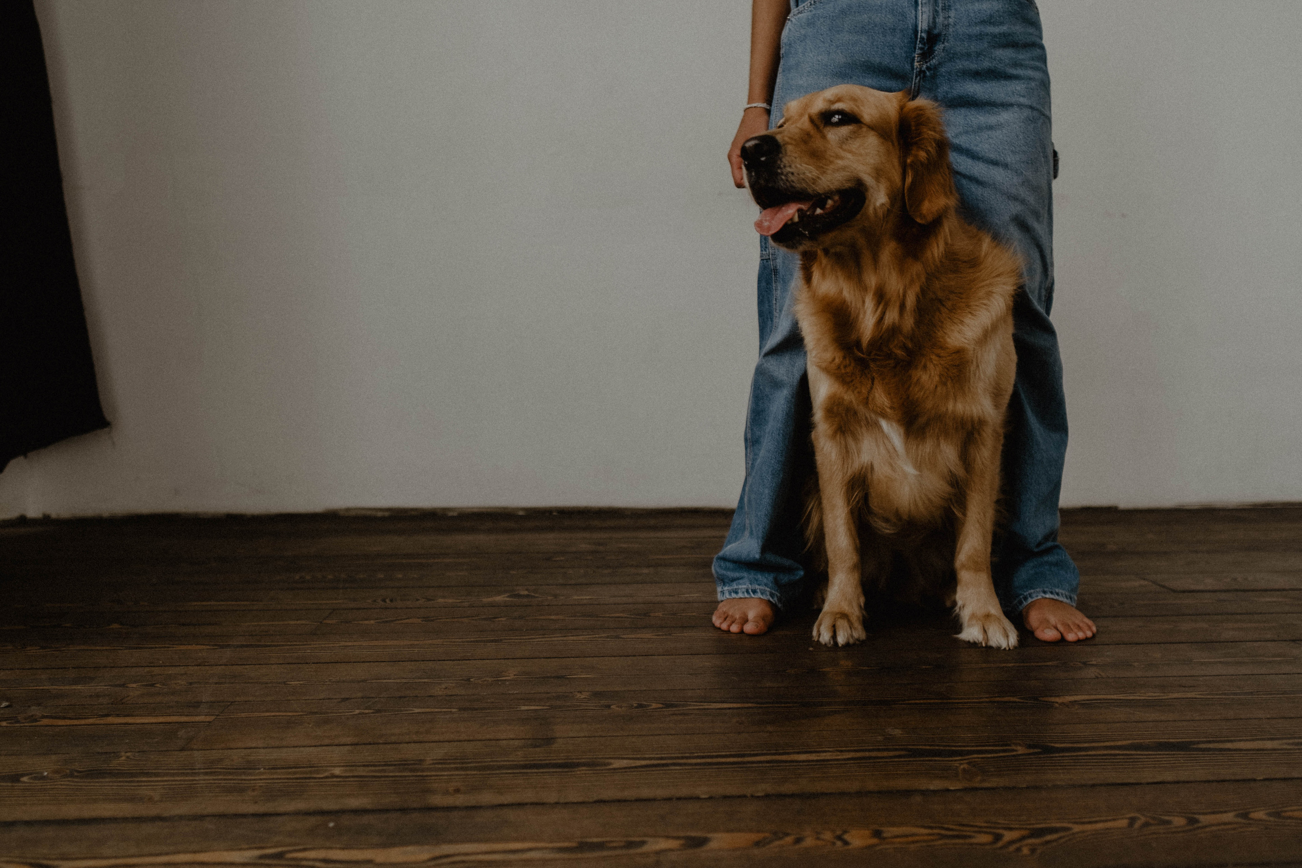 Юля и Тофу🐶❤️. Свадебный фотограф Оля Григунова