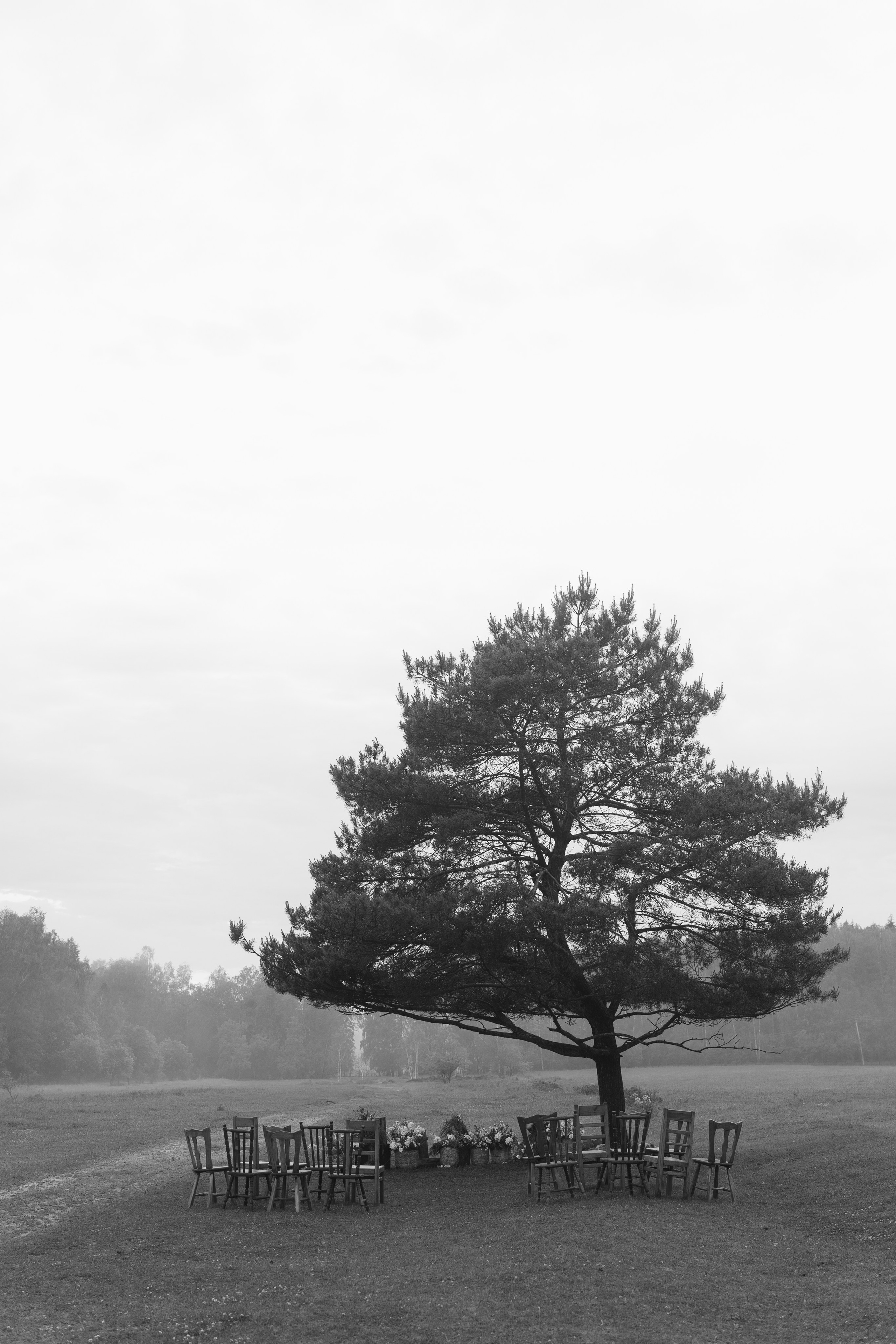 Свадебный фотограф в Москве Мария Кривоногова