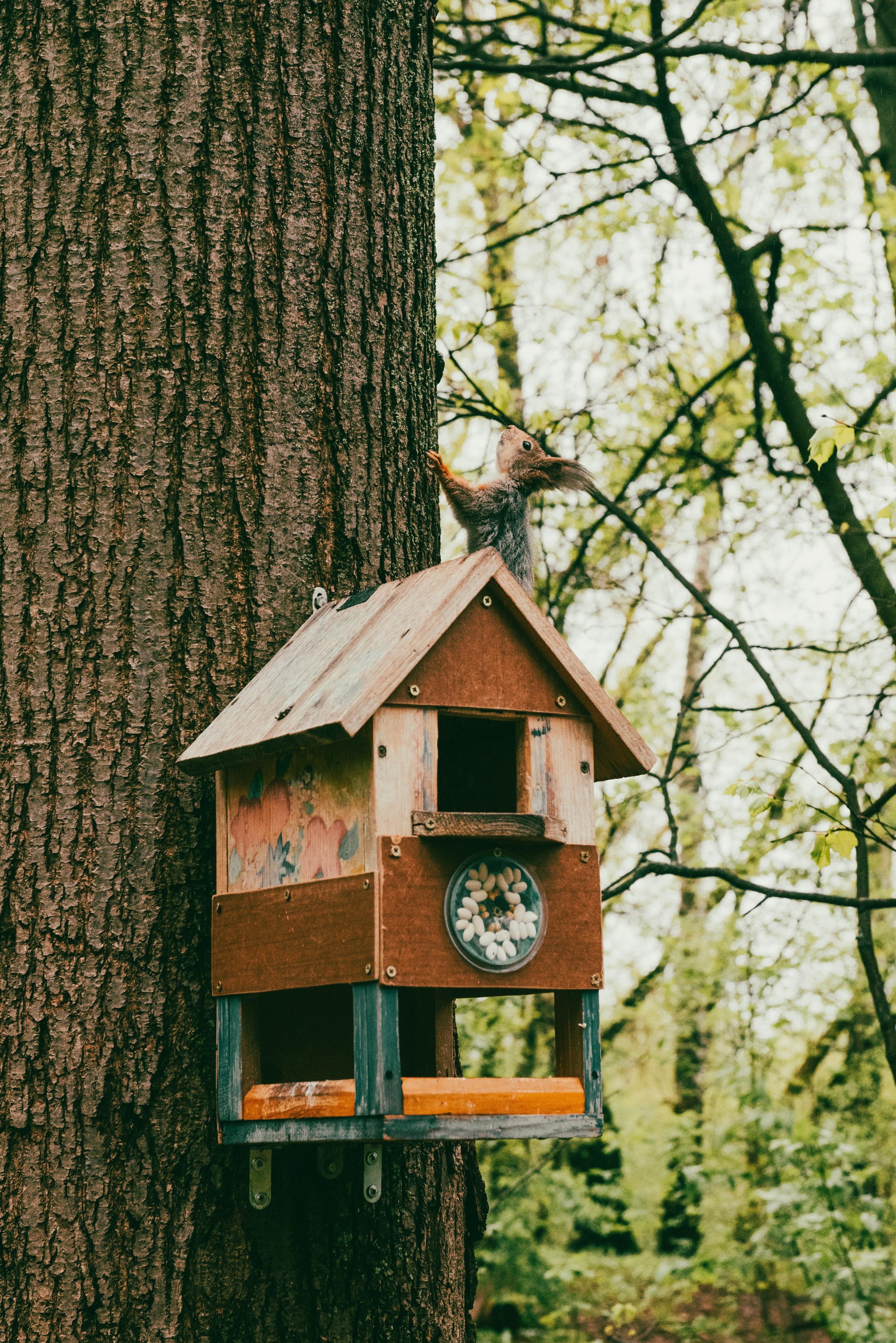 Текстуры апреля. Портретный и архитектурный фотограф в Москве и Санкт-Петербурге