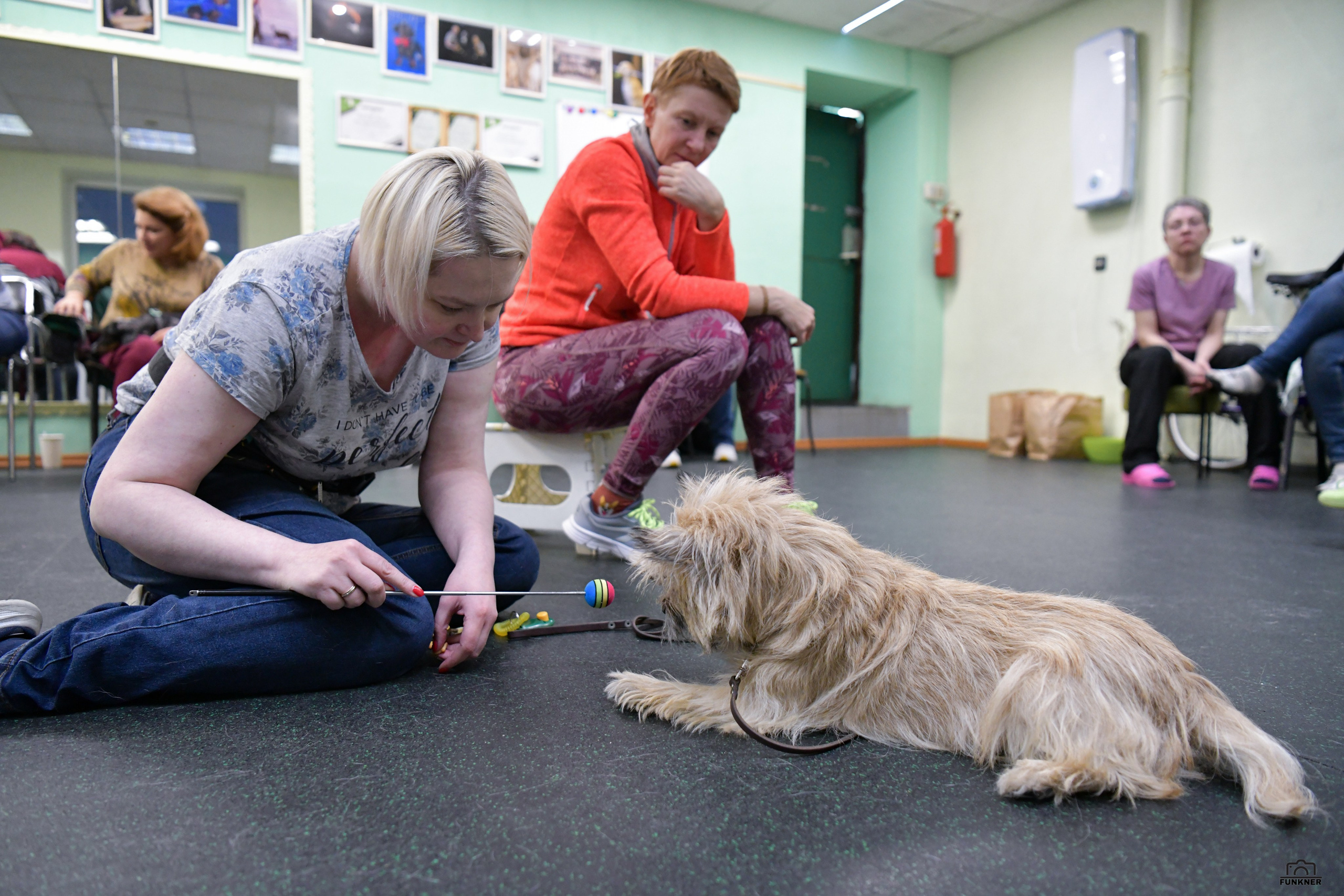 Кинологический клуб «Бодрый хвост». Свой взгляд через объектив