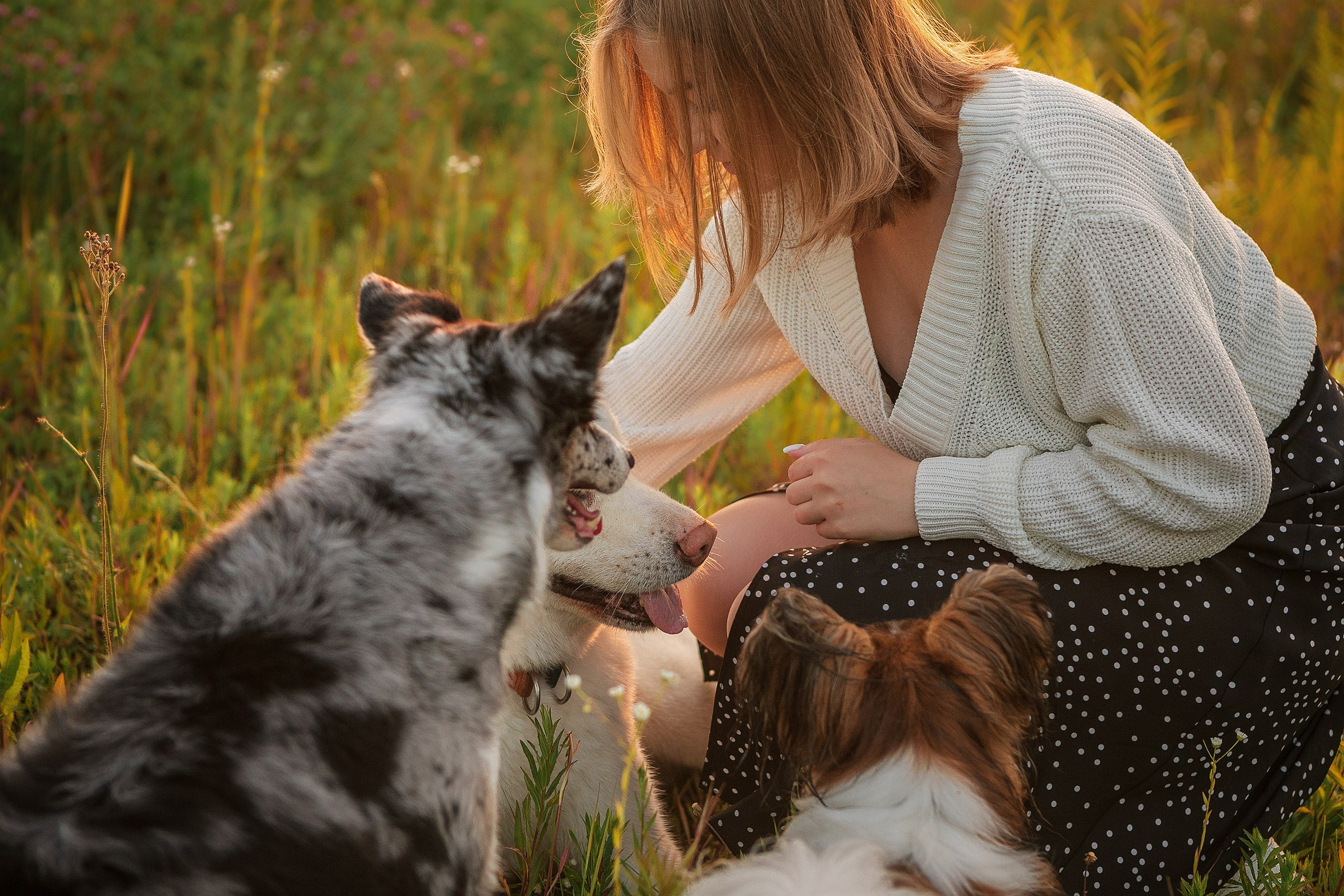 Таня и команда на рассвете. Фотограф анималист Кузнецова Анна Нижний Новгород