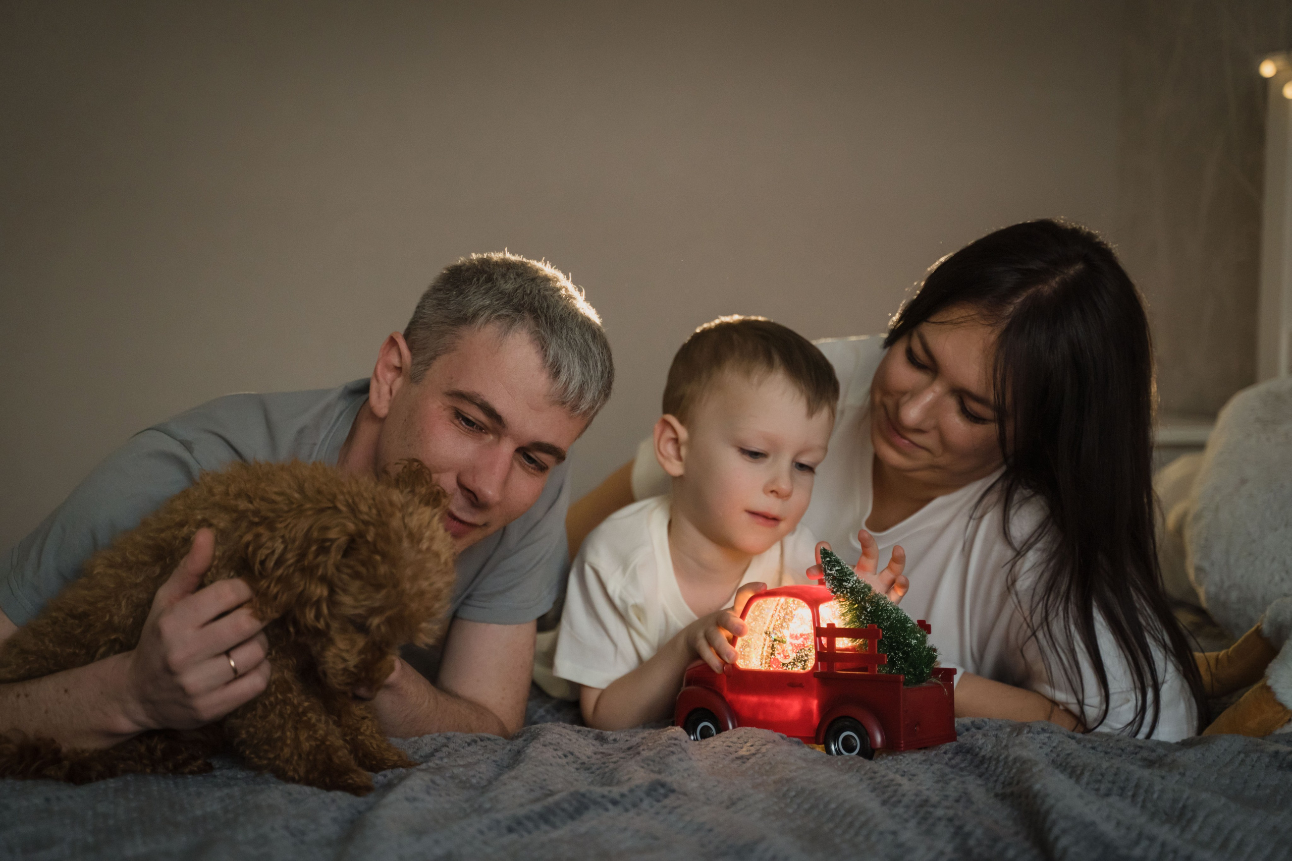 Предновогодний вечер. Главная