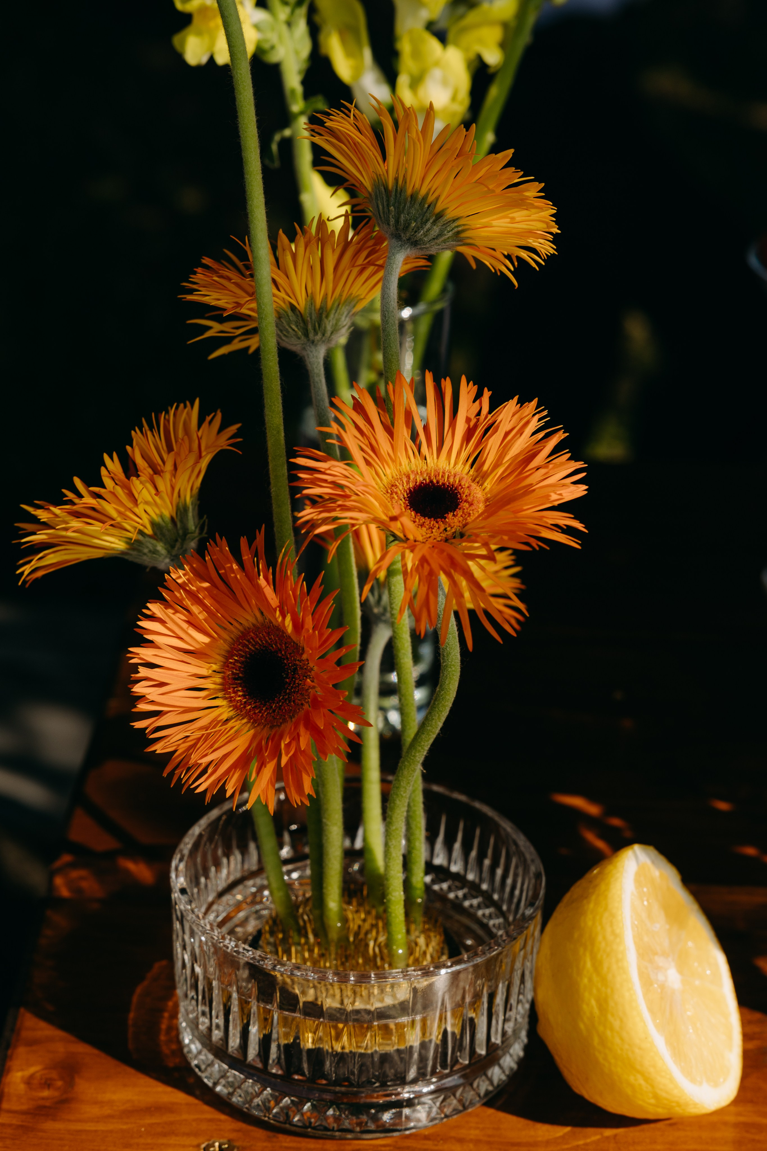 Анна и Никита | банкет. Свадебный фотограф Москва Анастасия Храмова