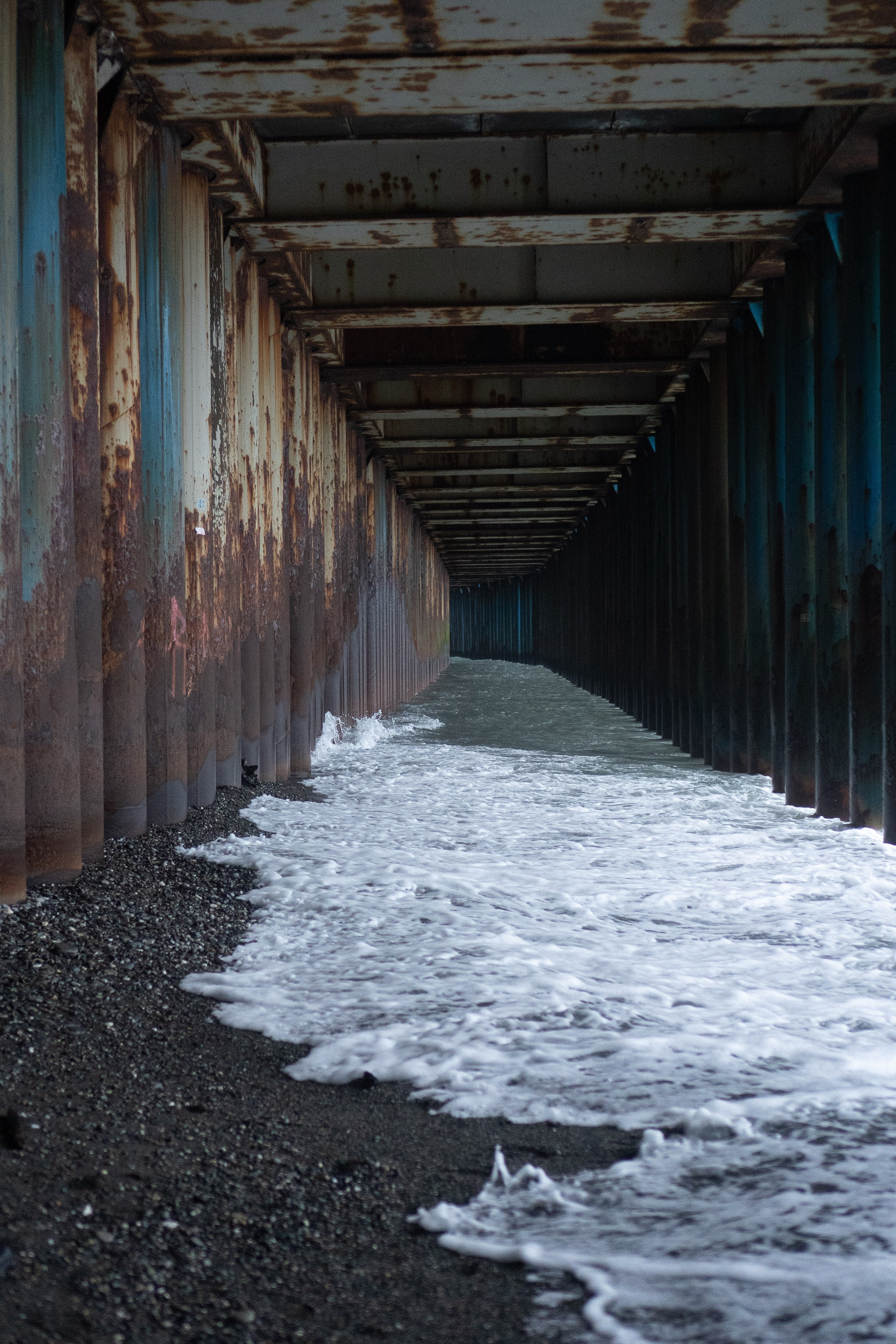 НА БЕРЕГУ МОРЯ. Профессиональный фотограф, Санкт-Петербург — Виктория Богомолова