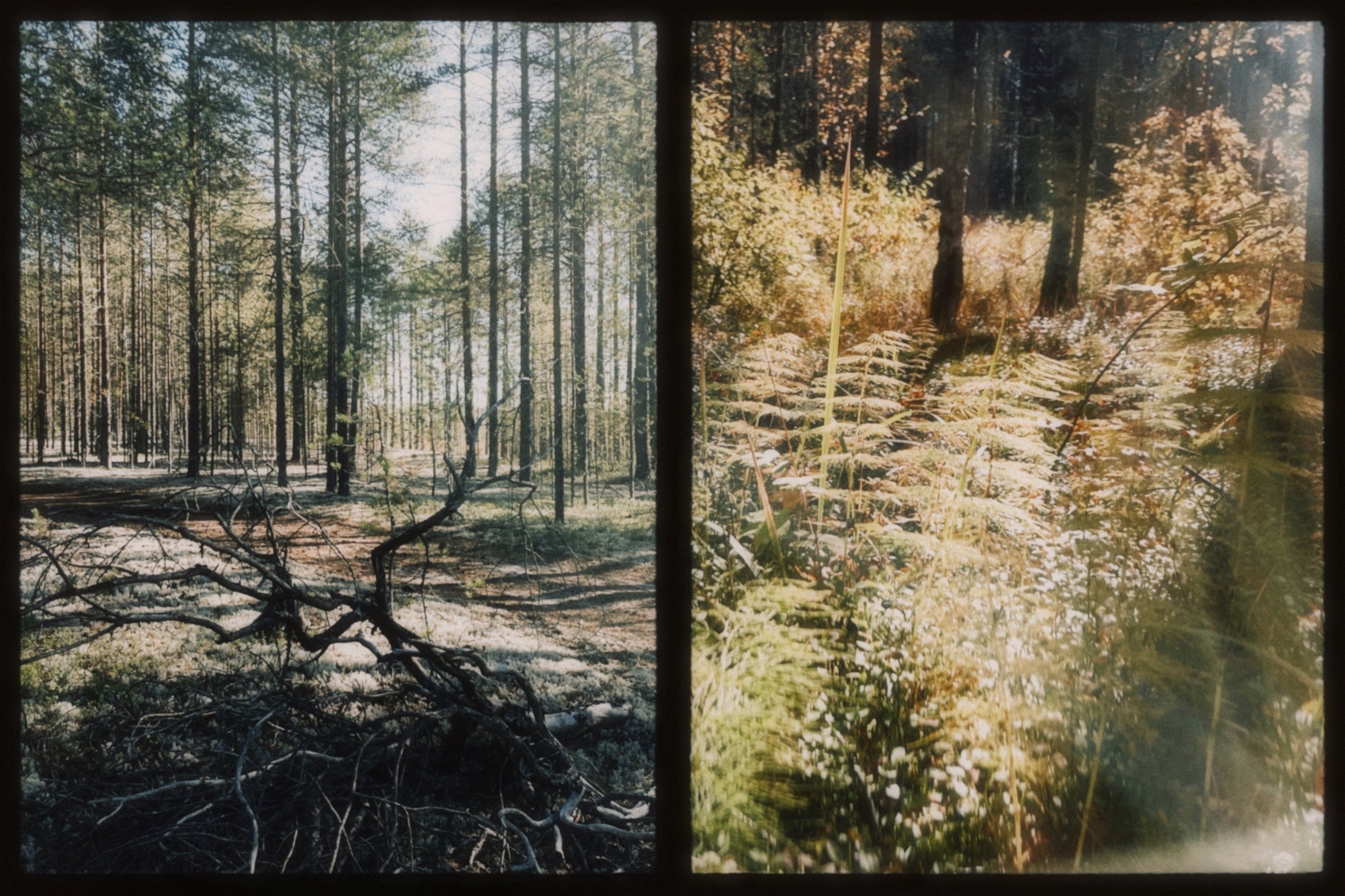 Фотоальбом: Алхимия Жизни. VITA · visual therapy arts