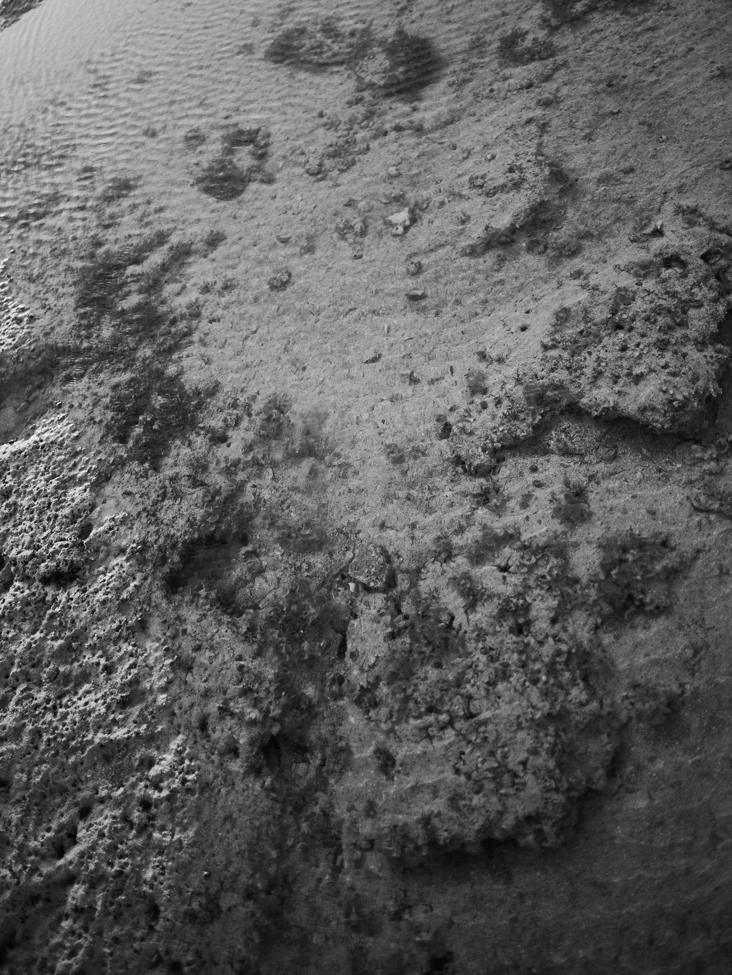 Другое 3. Jorgis Talè — photographer, kind person, teacher of arts and other mag