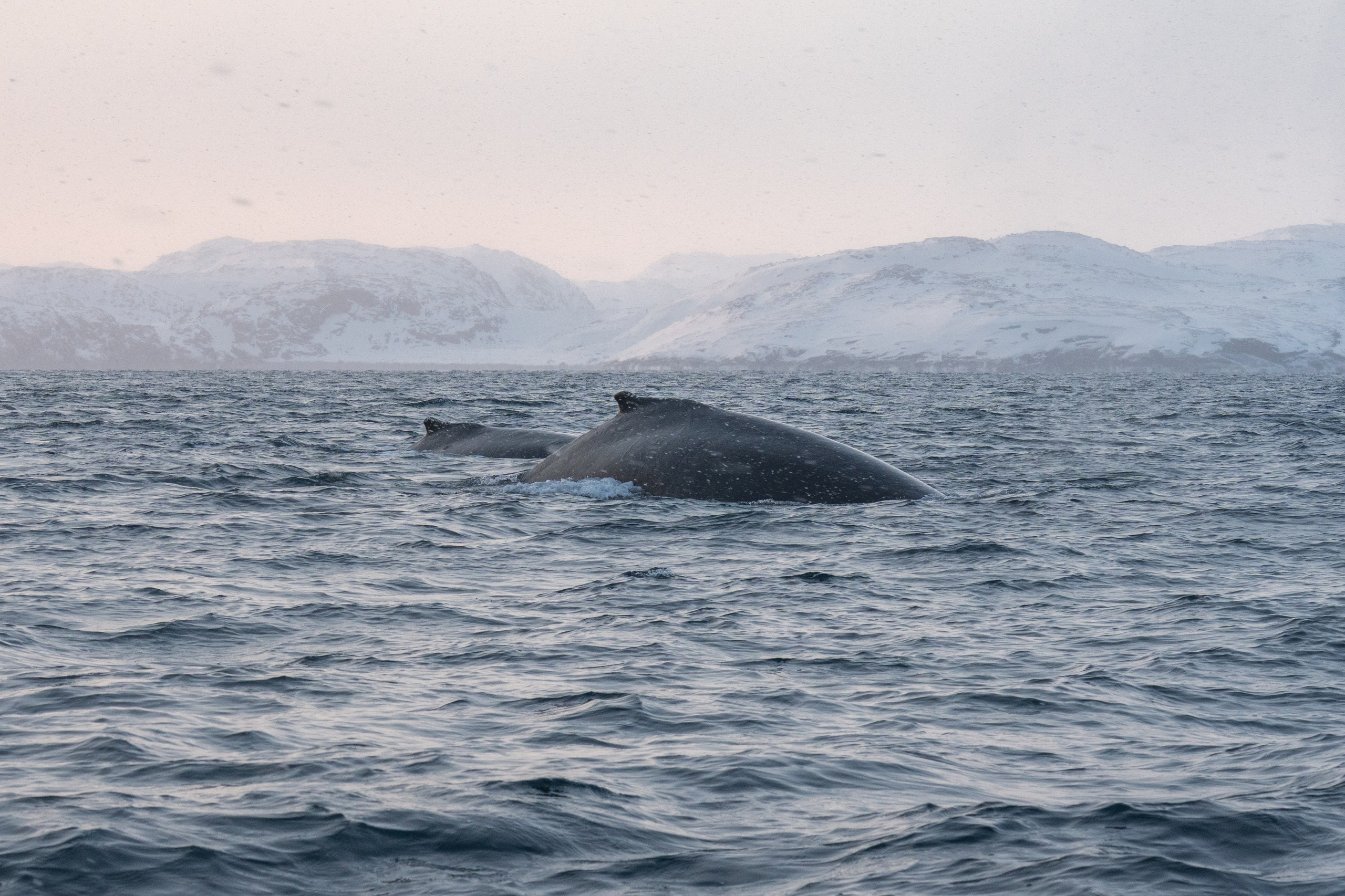 Портфолио. Gusarov Travel Photography