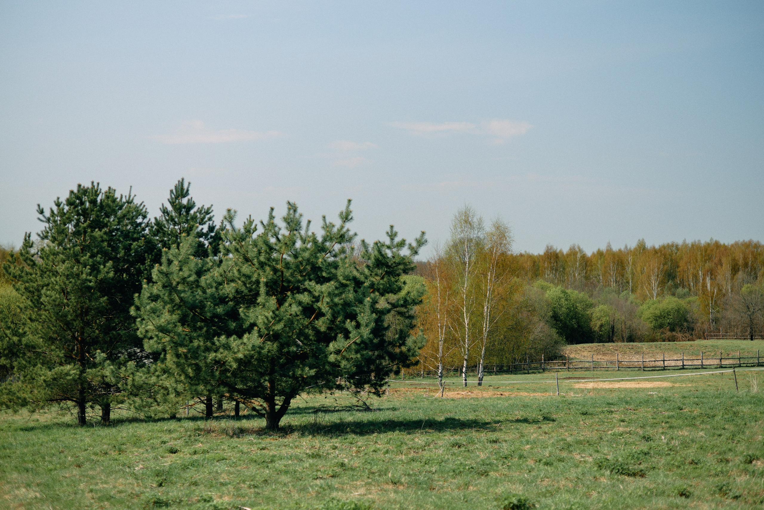 Бутик-отель Поле летом. Профессиональный Фотограф во Владимире, в Москве и в Суздале — Полина Романычева