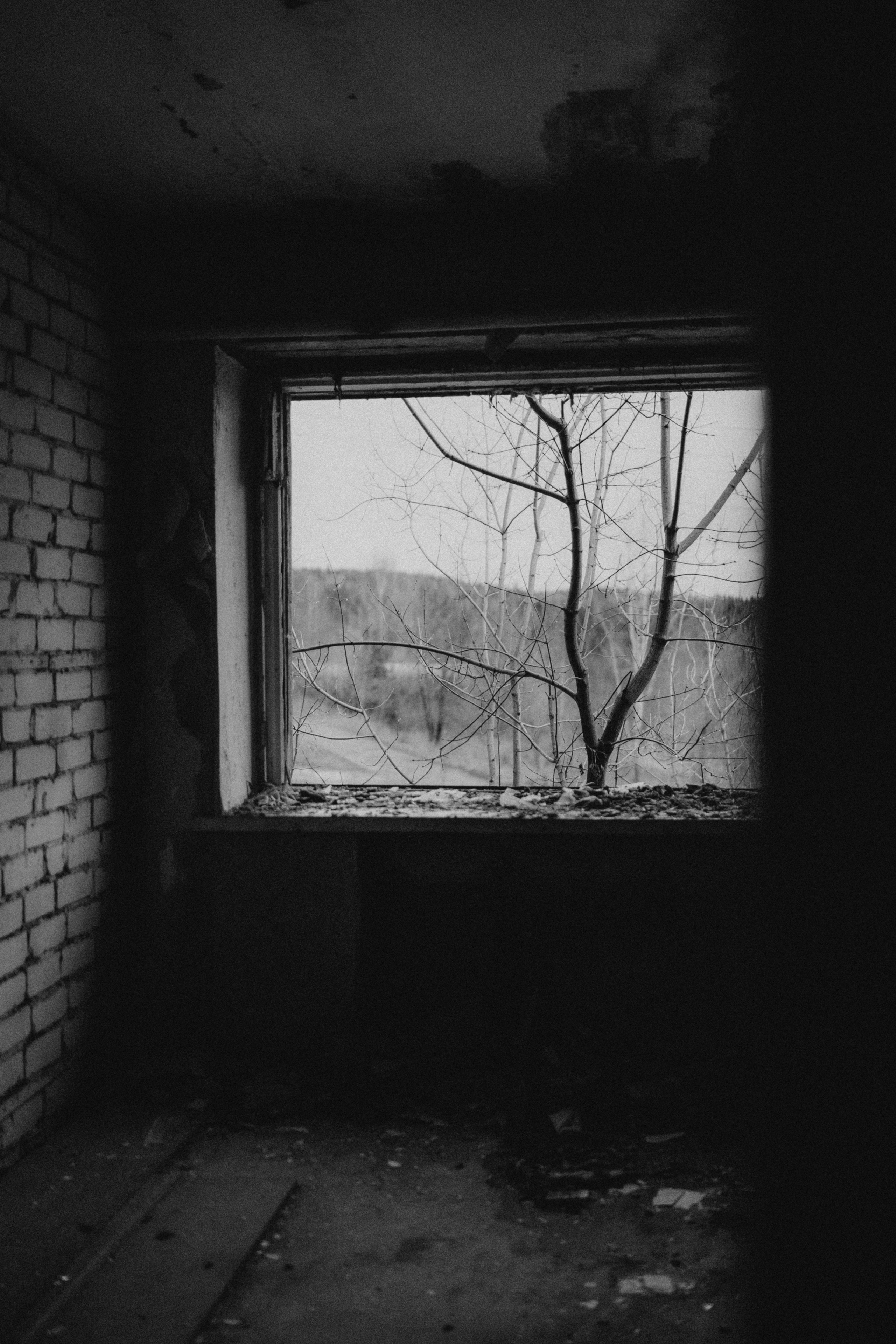 Лена. Свадебный и семейный фотограф в Перми Дарья Алекс