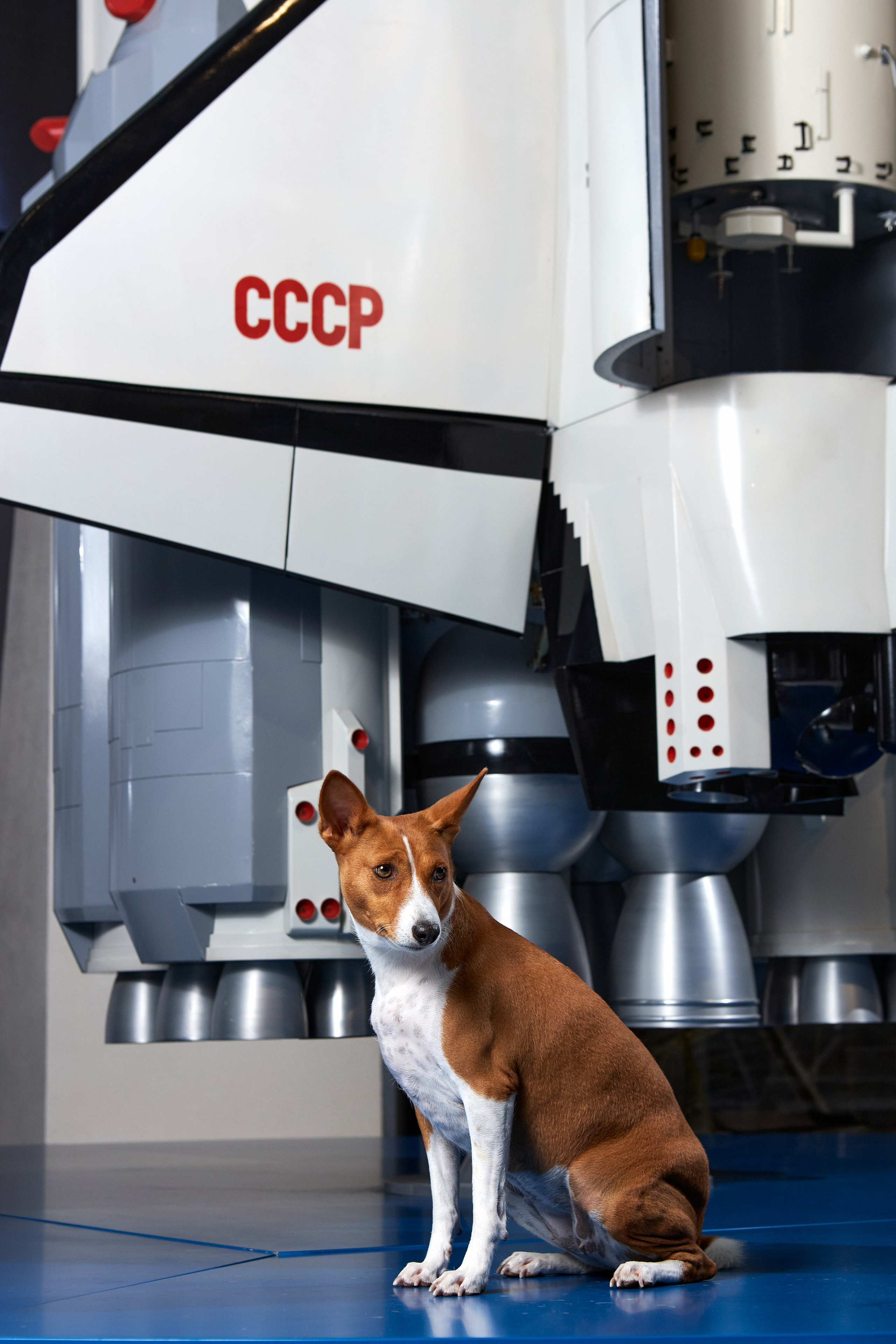 Фотопроект "На пути к своей звезде". Фотограф Михаил Стенин