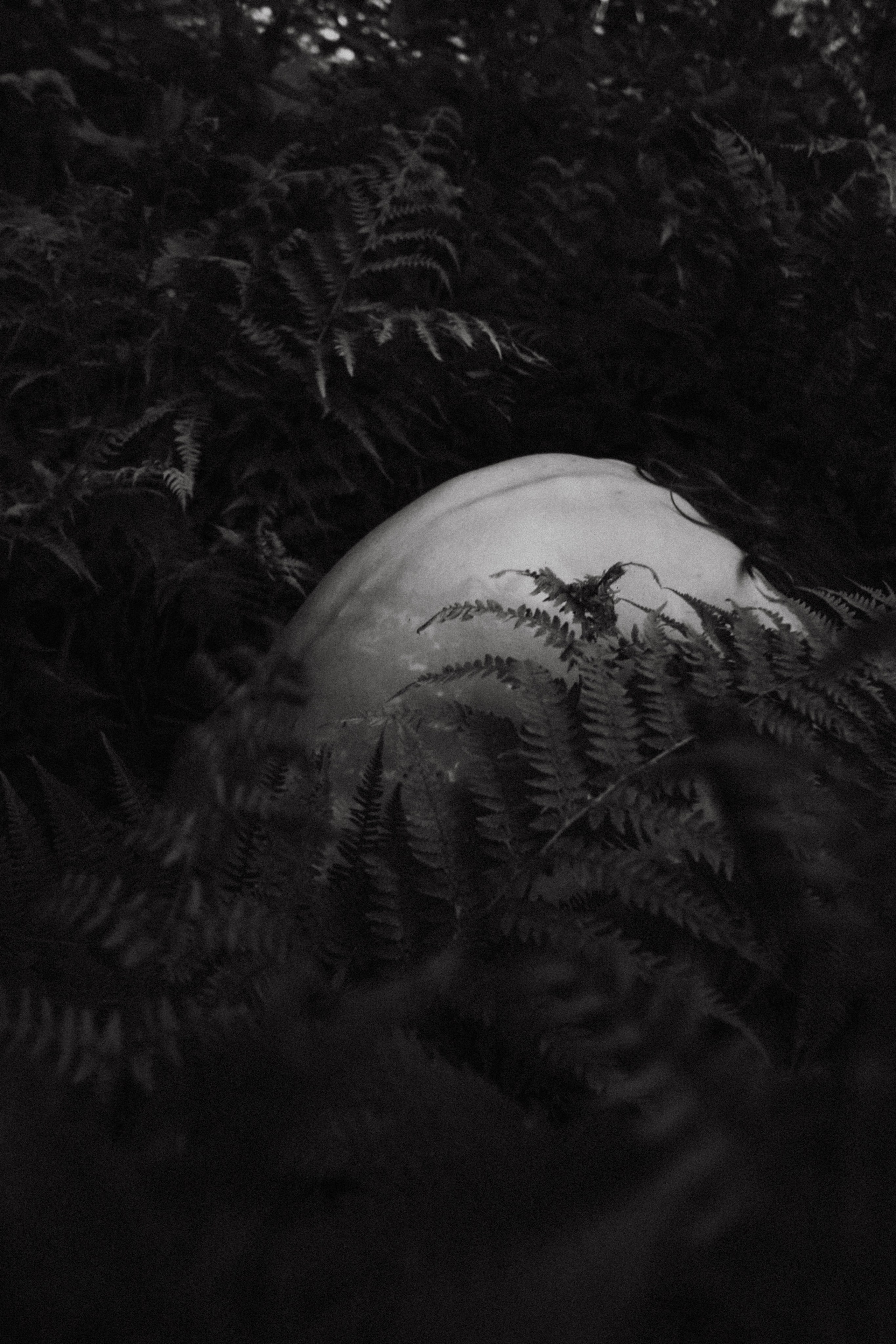 Даша. Фотограф в Нижнем Новгороде