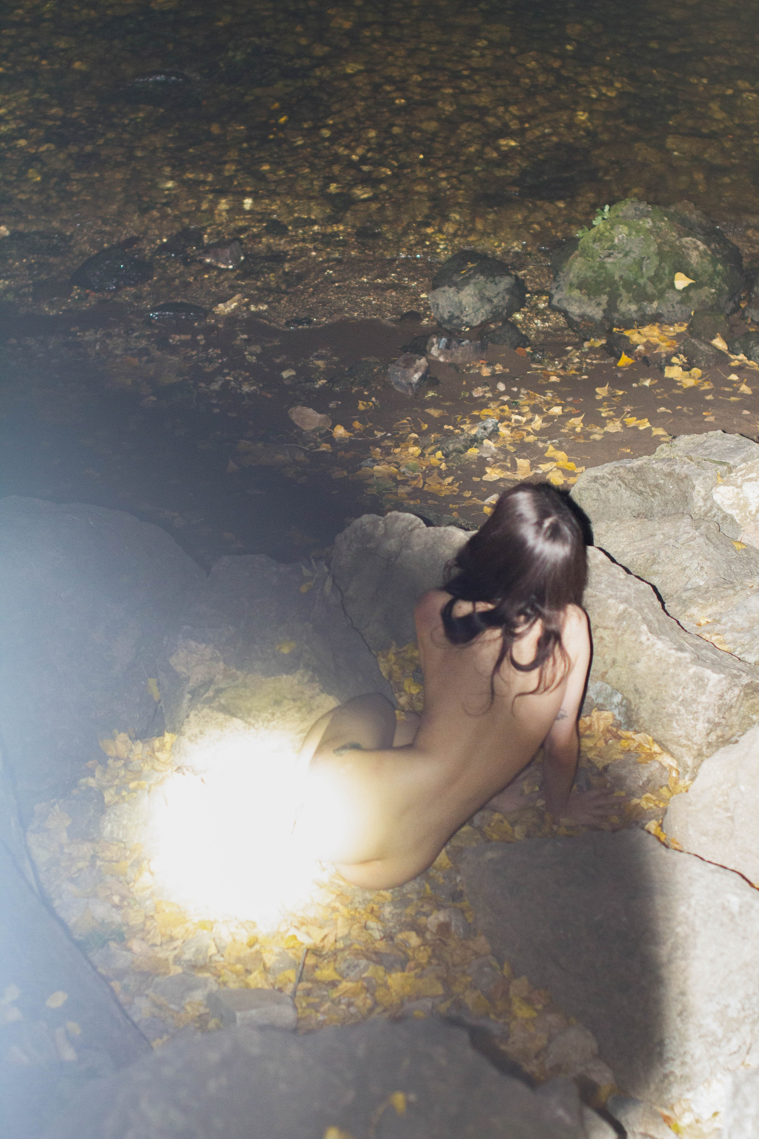 Полуночница