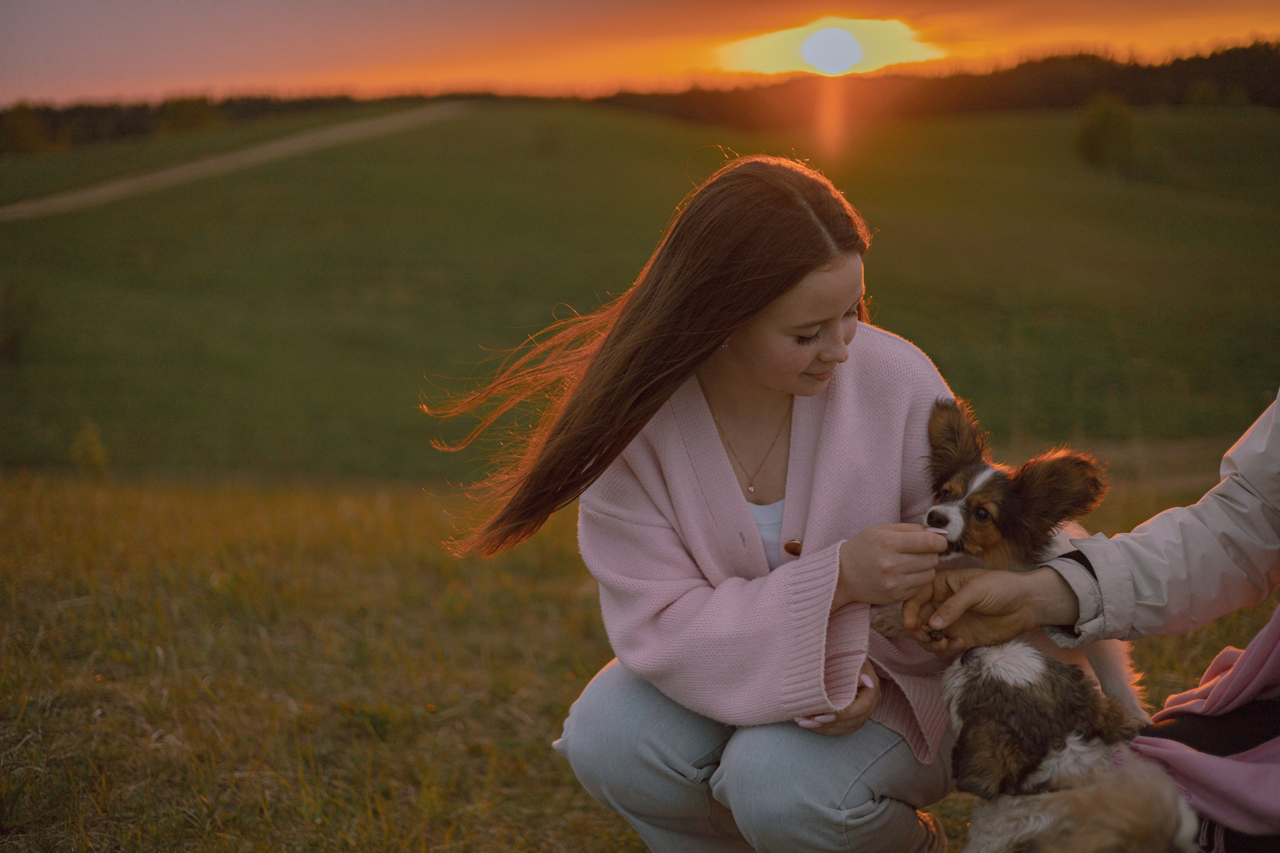 фотограф анималист собак