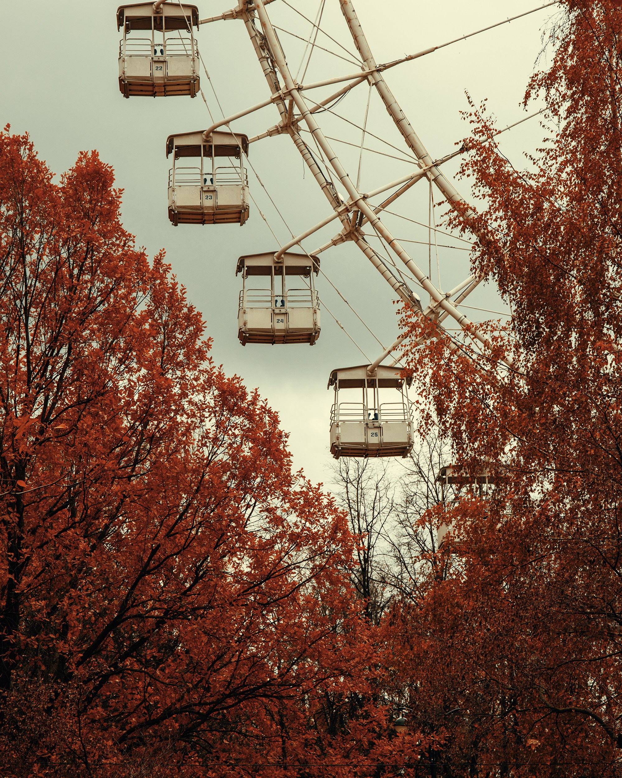 Арт-фото. Михаил Данилов | Фотограф