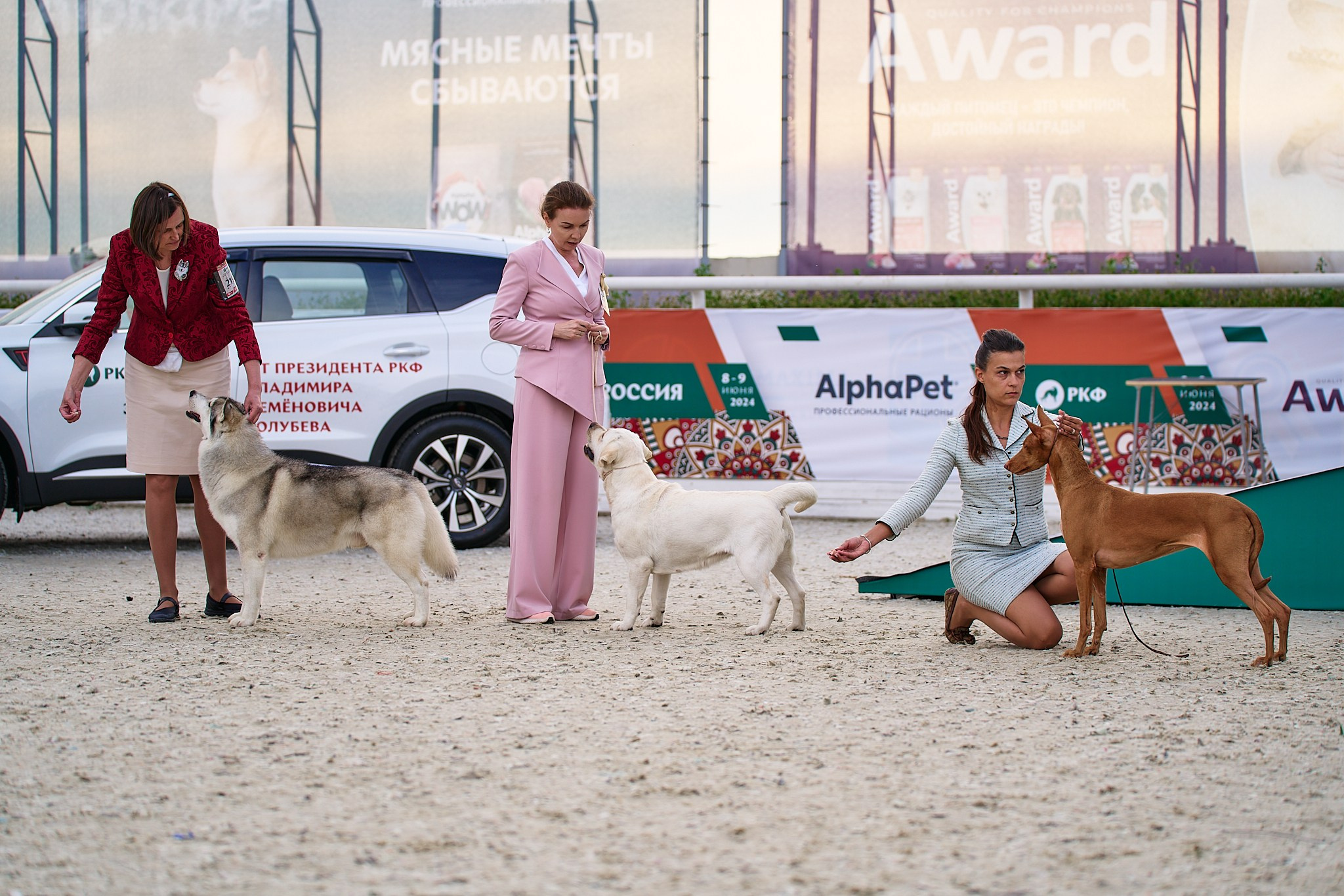 09.06.2024, «РОССИЯ. КУБОК МОСКВЫ 2024 & КУБОК ГОРОДОВ-ГЕРОЕВ»