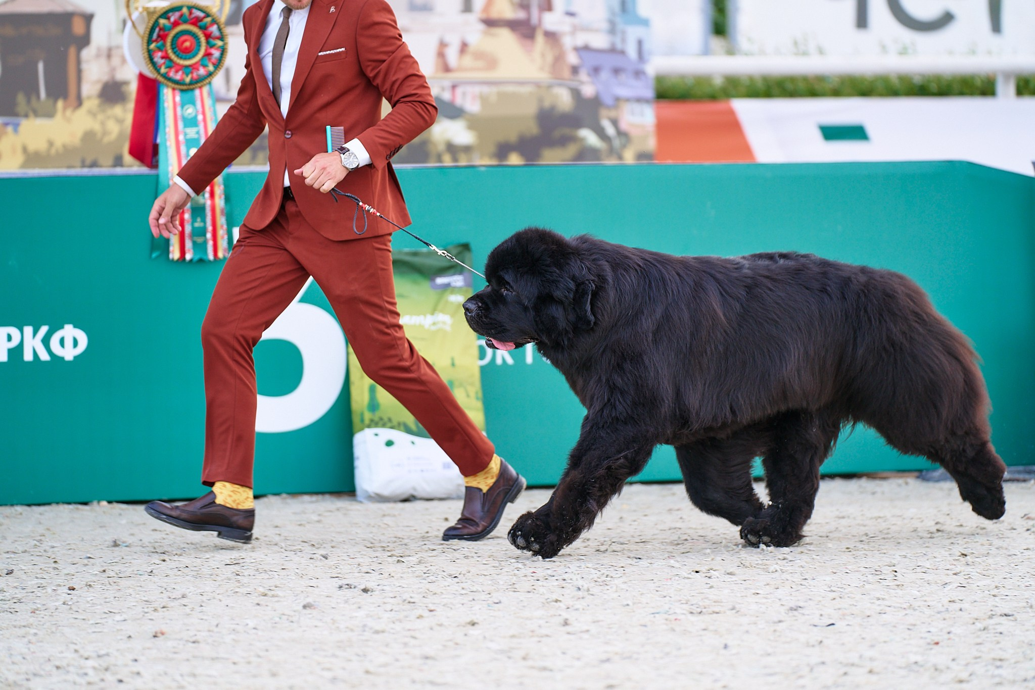 09.06.2024, «РОССИЯ. КУБОК МОСКВЫ 2024 & КУБОК ГОРОДОВ-ГЕРОЕВ»