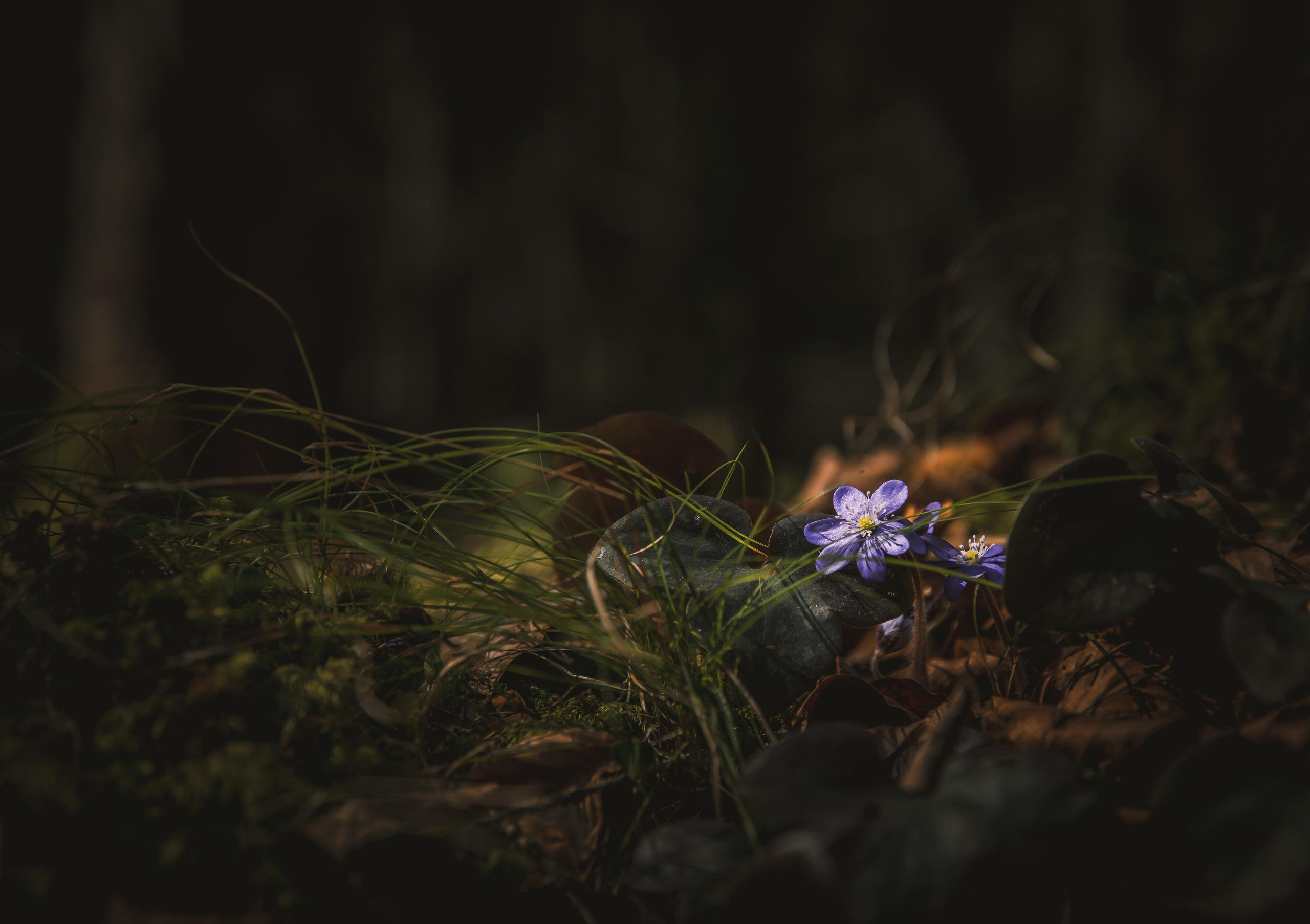 TRAVEL&NATURE. NE Cinema — backstage and reportage photography in cinema, music, Automotive and sport