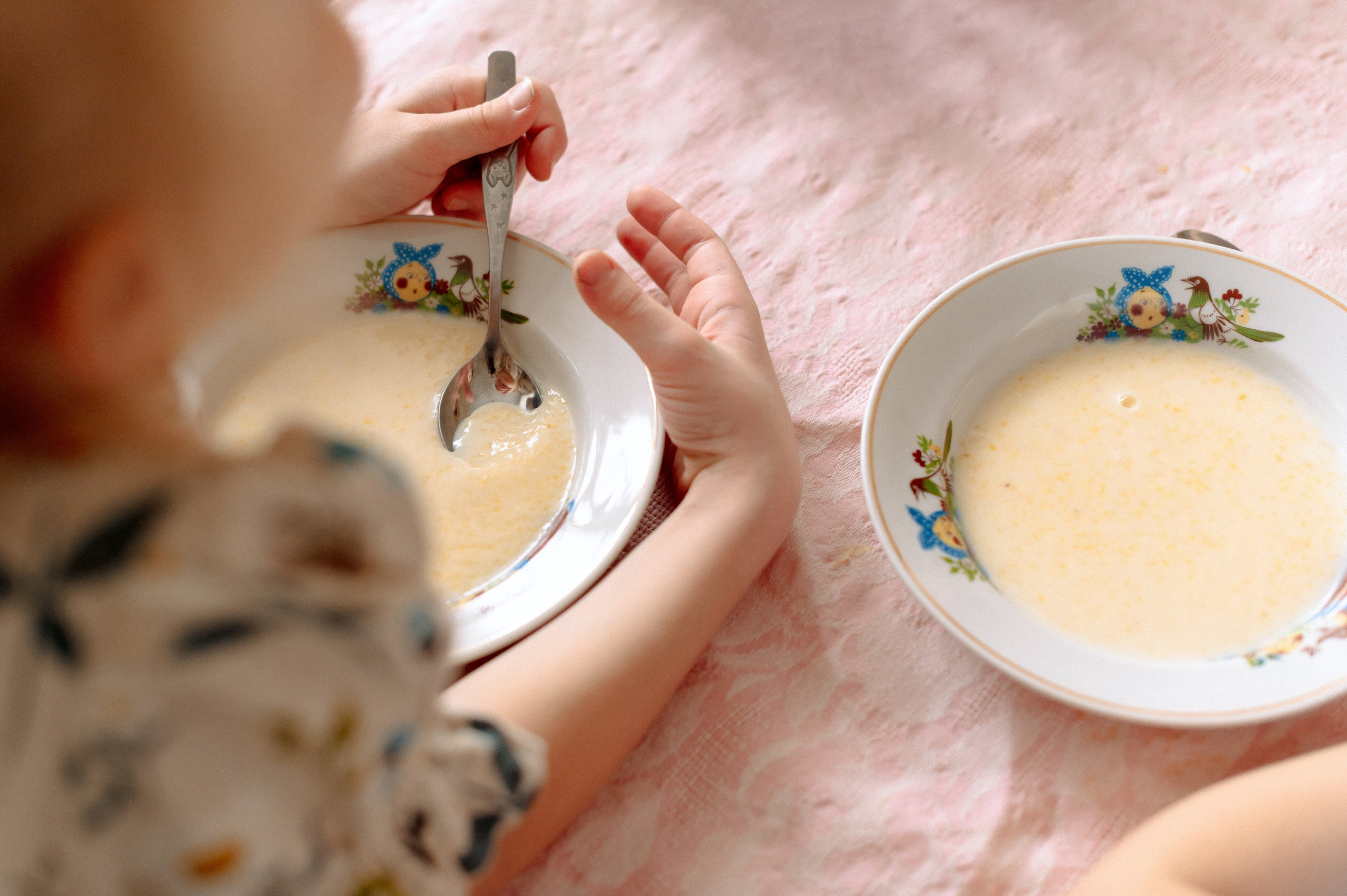 ДЕНЬ В САДУ. Шашкова Вероника / Свадебный и семейный фотограф Москва и Ярославль