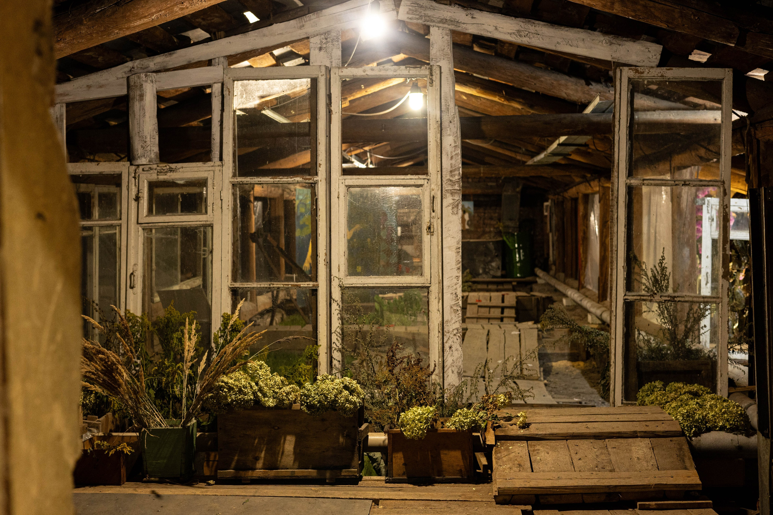 Выставка «Цветочек». Фотограф Шурыгина Эльвира Москва