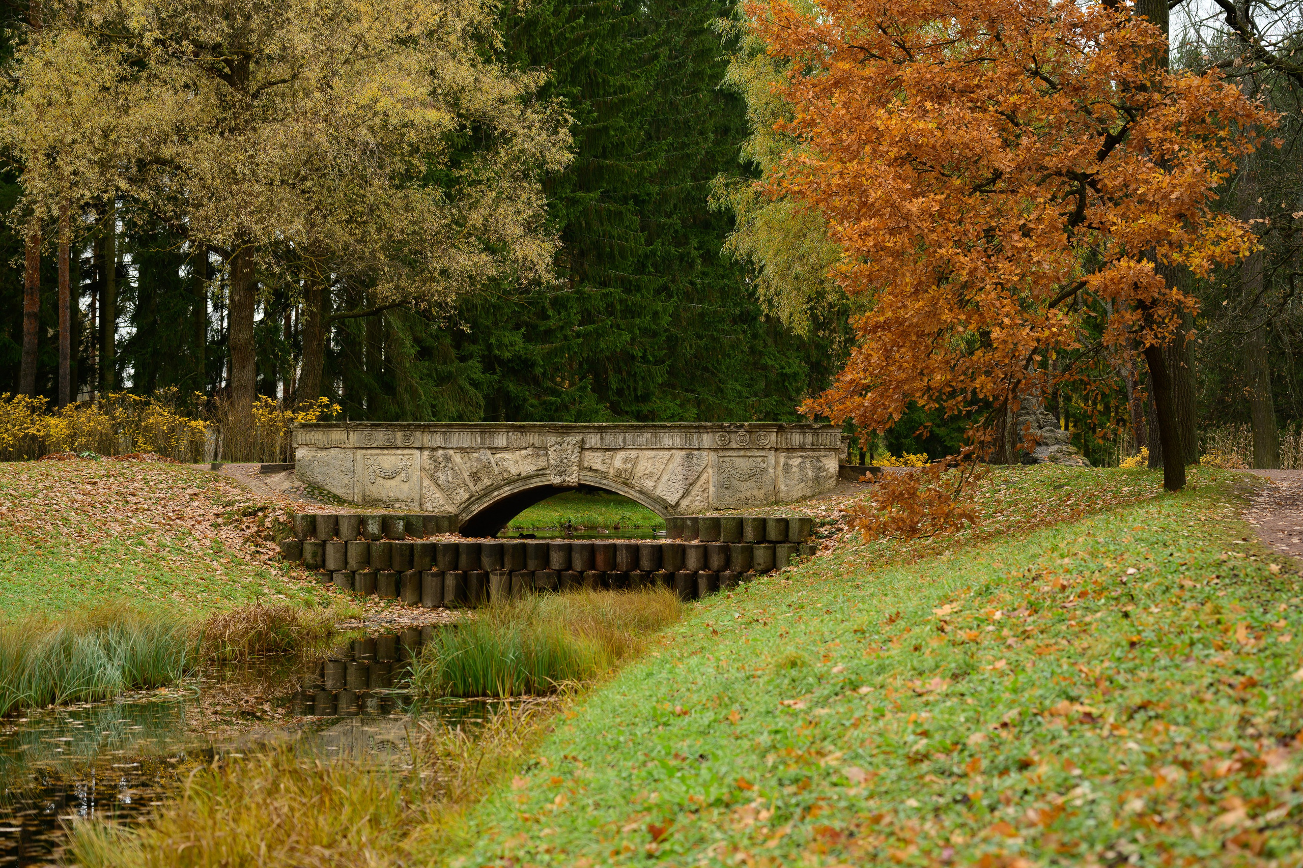 SAINT PETERSBURG | SUBURBS. Personal website of photographer Dmitry Raikin