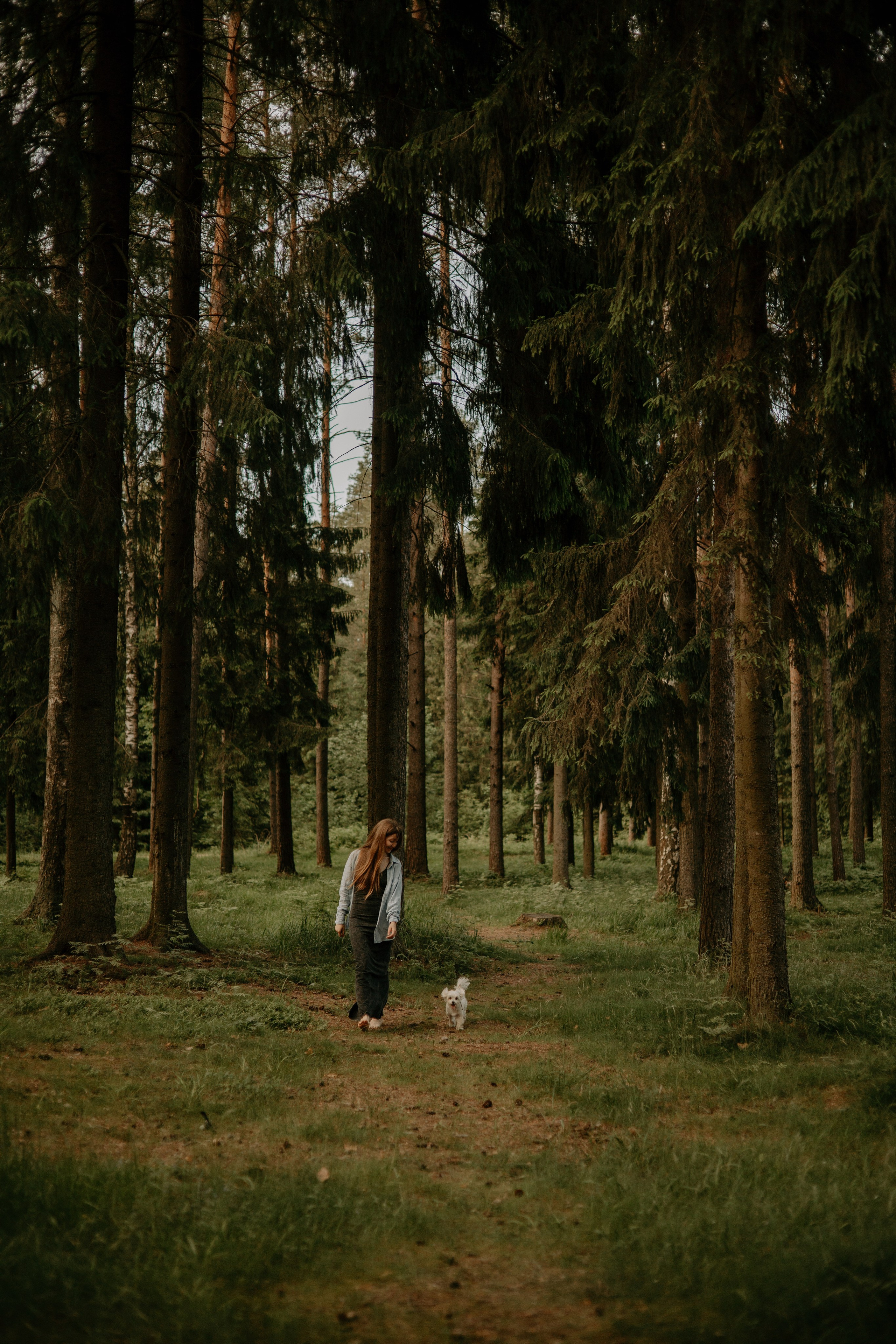 Оля и Джастин. Фотограф — анималист •love-story•|Санкт-Петербург