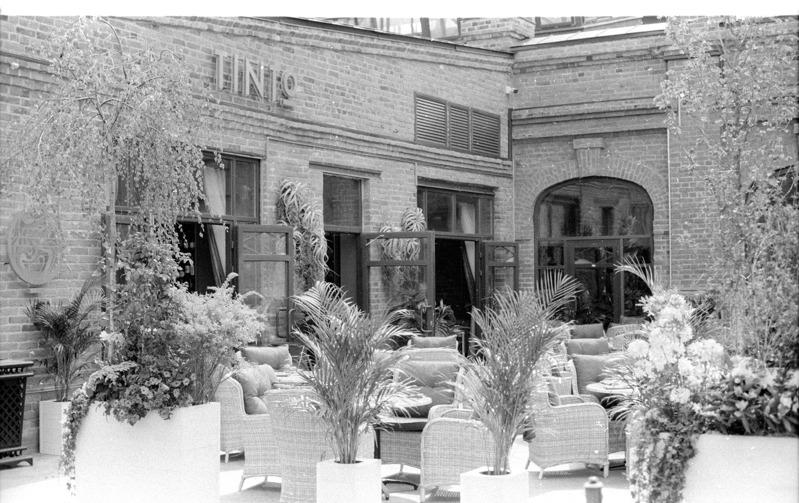 Tasma 2020. Фотосъемка свадебных, семейных и корпоративных мероприятий в Перми