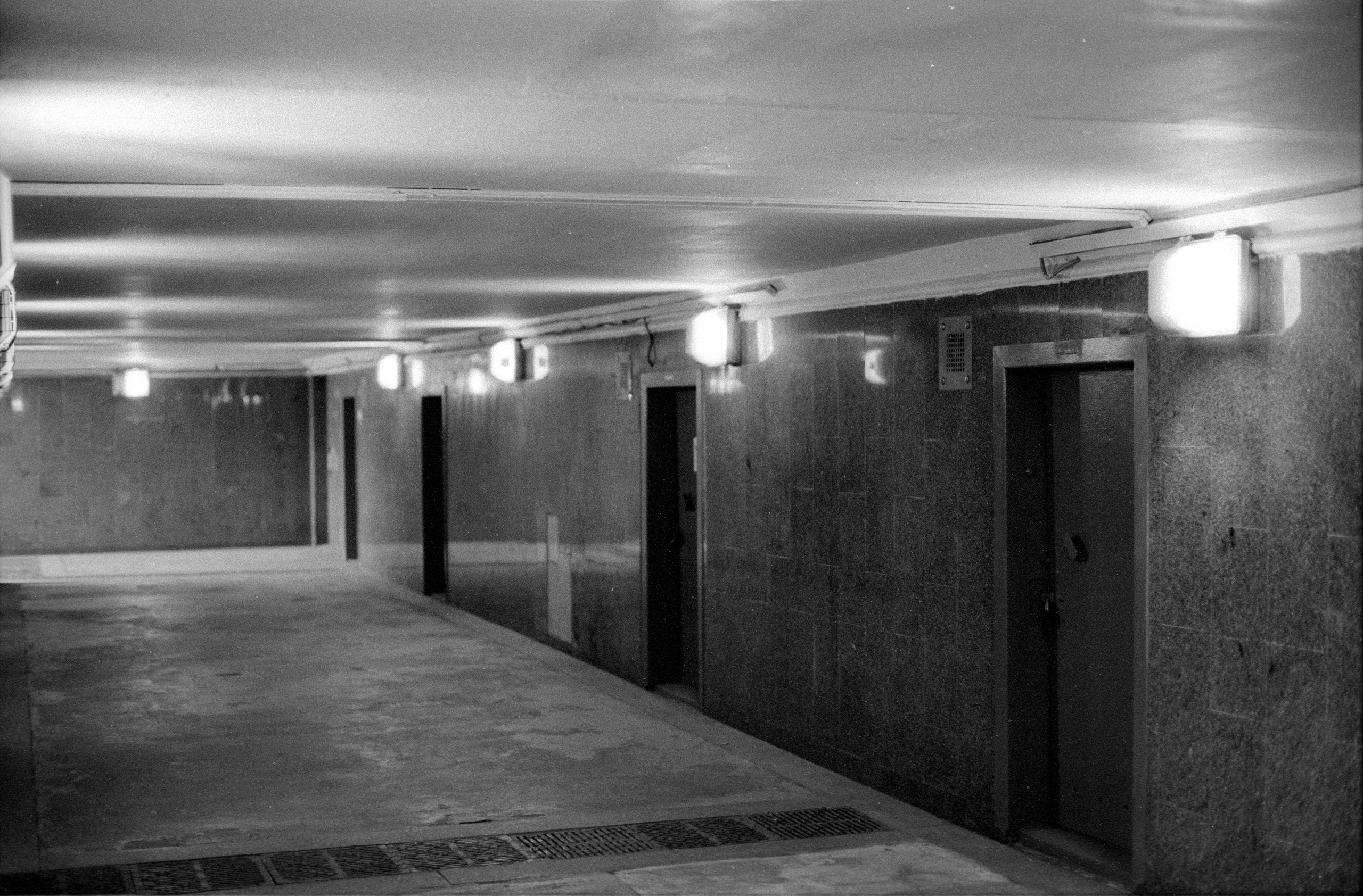 Tasma 2020. Фотосъемка свадебных, семейных и корпоративных мероприятий в Перми