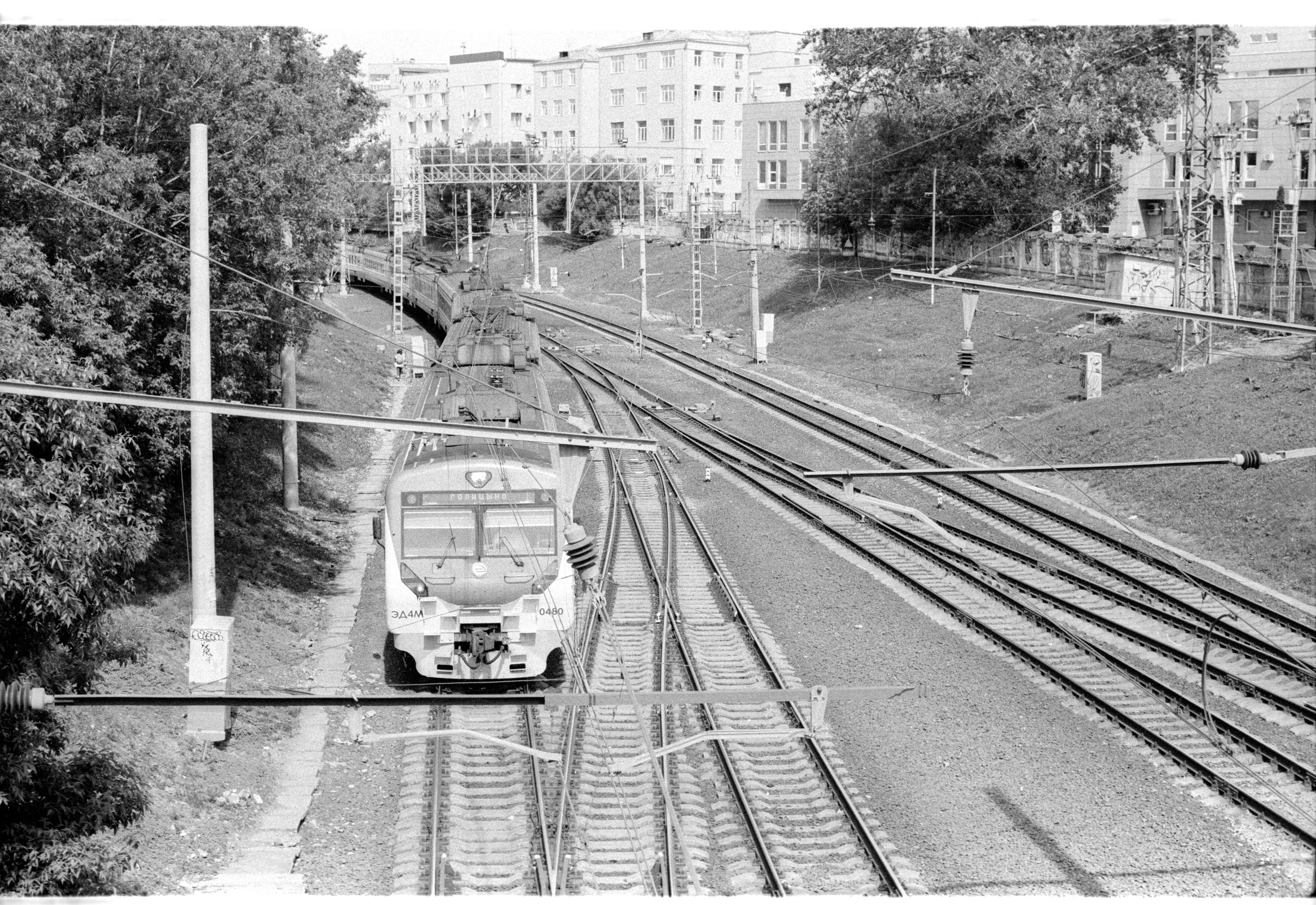 Tasma 2020. Фотосъемка свадебных, семейных и корпоративных мероприятий в Перми