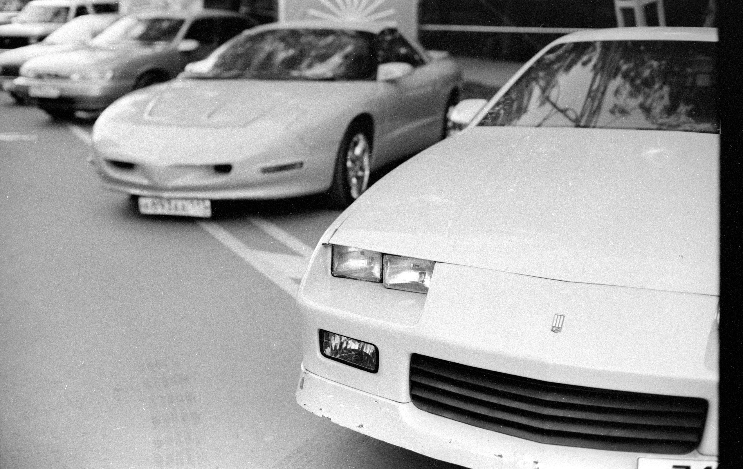 Tasma 2020. Фотосъемка свадебных, семейных и корпоративных мероприятий в Перми