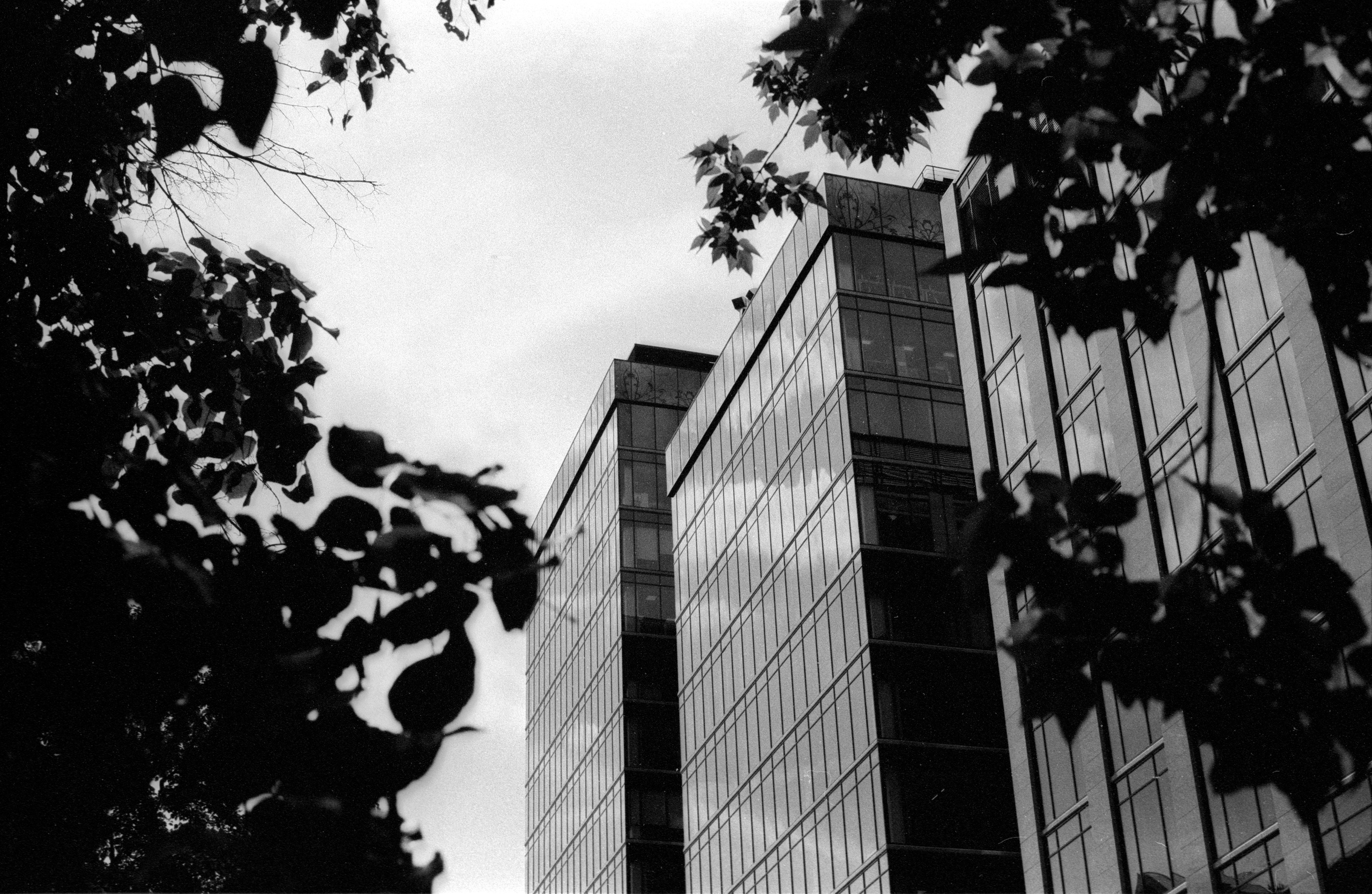 Tasma 2020. Фотосъемка свадебных, семейных и корпоративных мероприятий в Перми