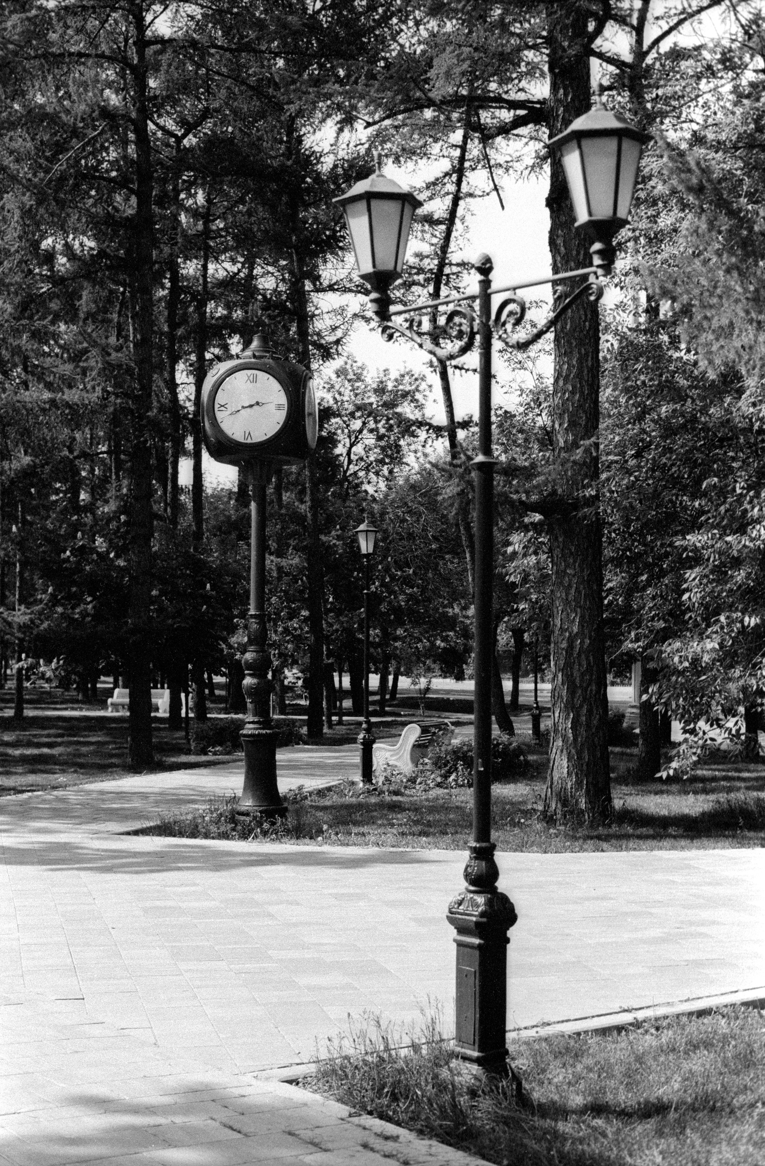 Tasma 2020. Фотосъемка свадебных, семейных и корпоративных мероприятий в Перми