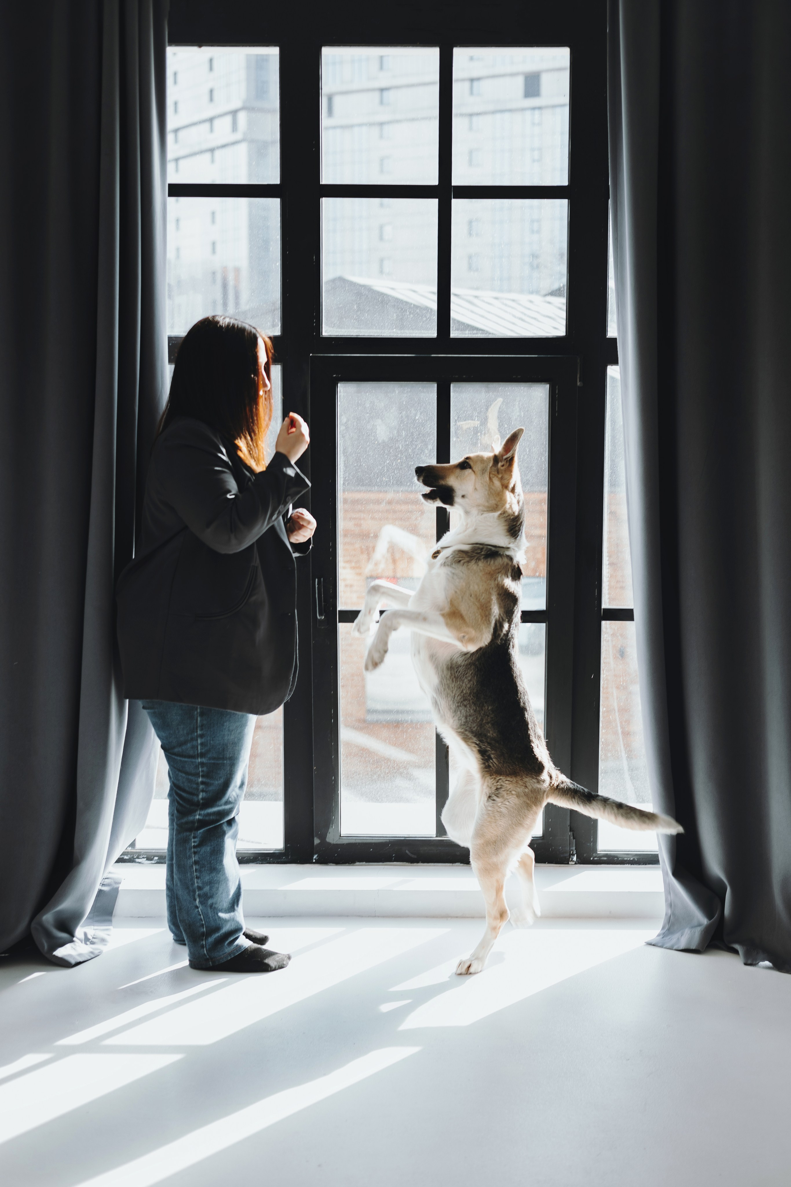 Анна и Бейлис. Фотограф — анималист Владивосток, Алина