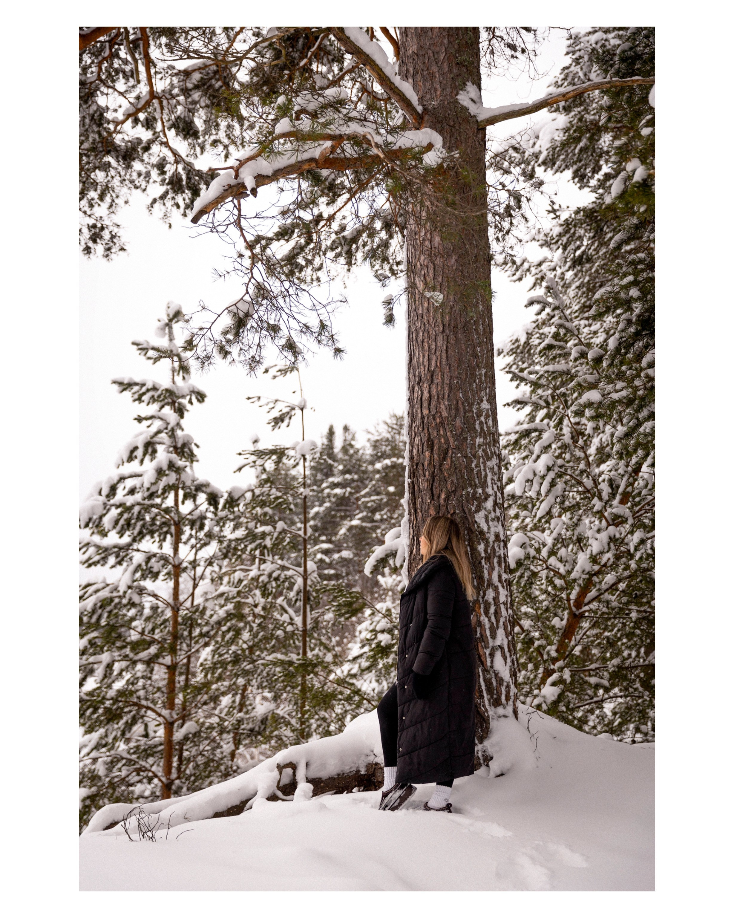 Forest vibe. Свадебный и семейный фотограф в Карелии