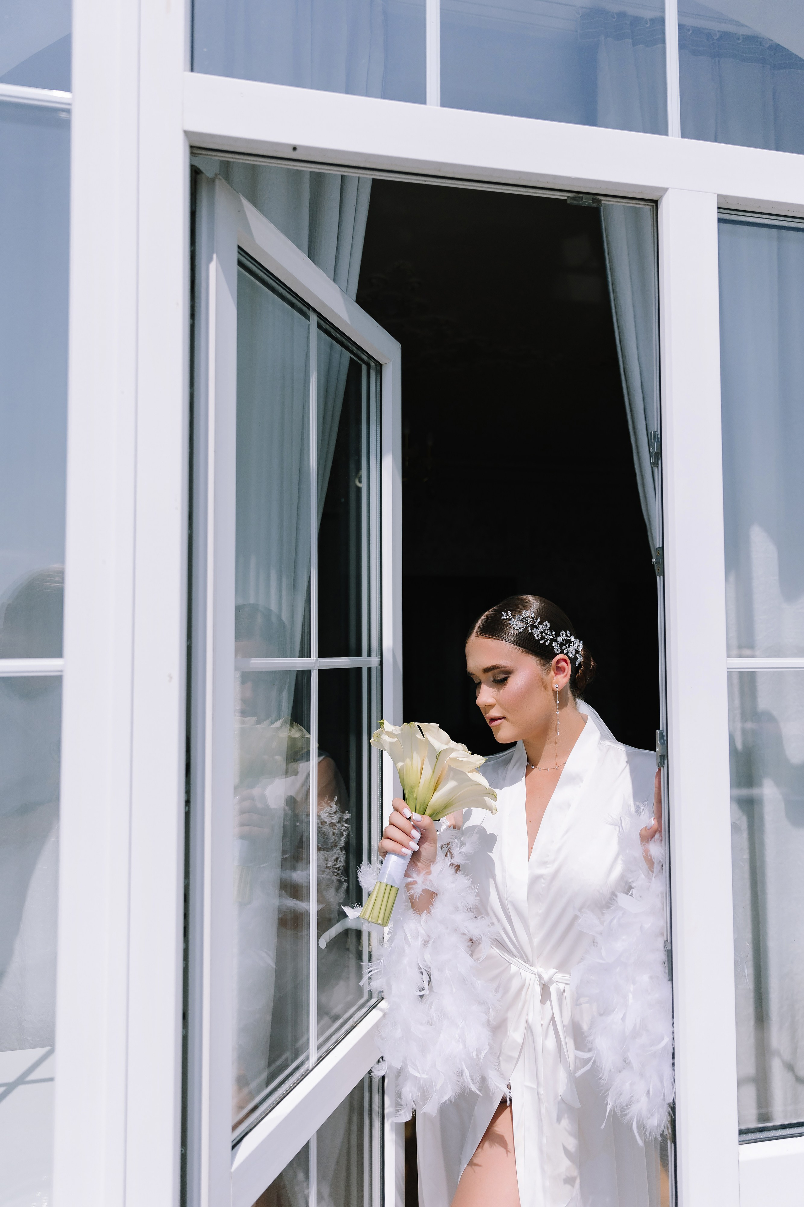 Бабочки. Фотограф Елена Краснопевцева