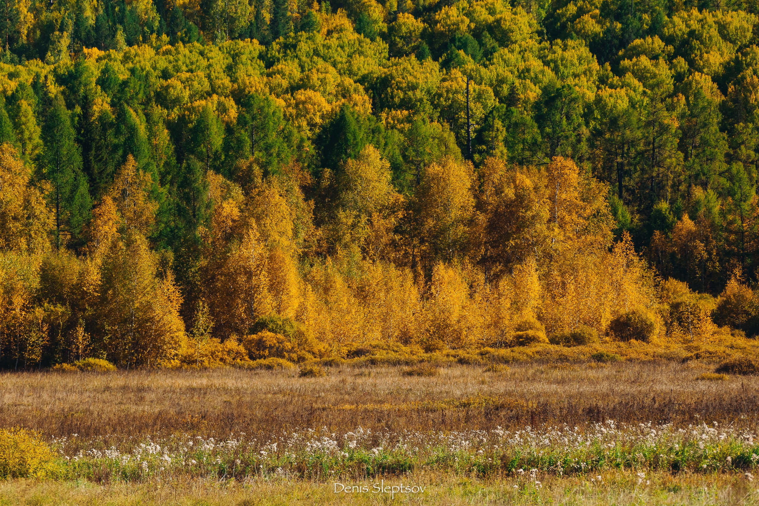 ВДОХНОВЛЯЮСЬ. Денис Слепцов — репортажная съемка, фудфотограф, промышленная съемка, контент-съемка в Бурятии и Иркутске