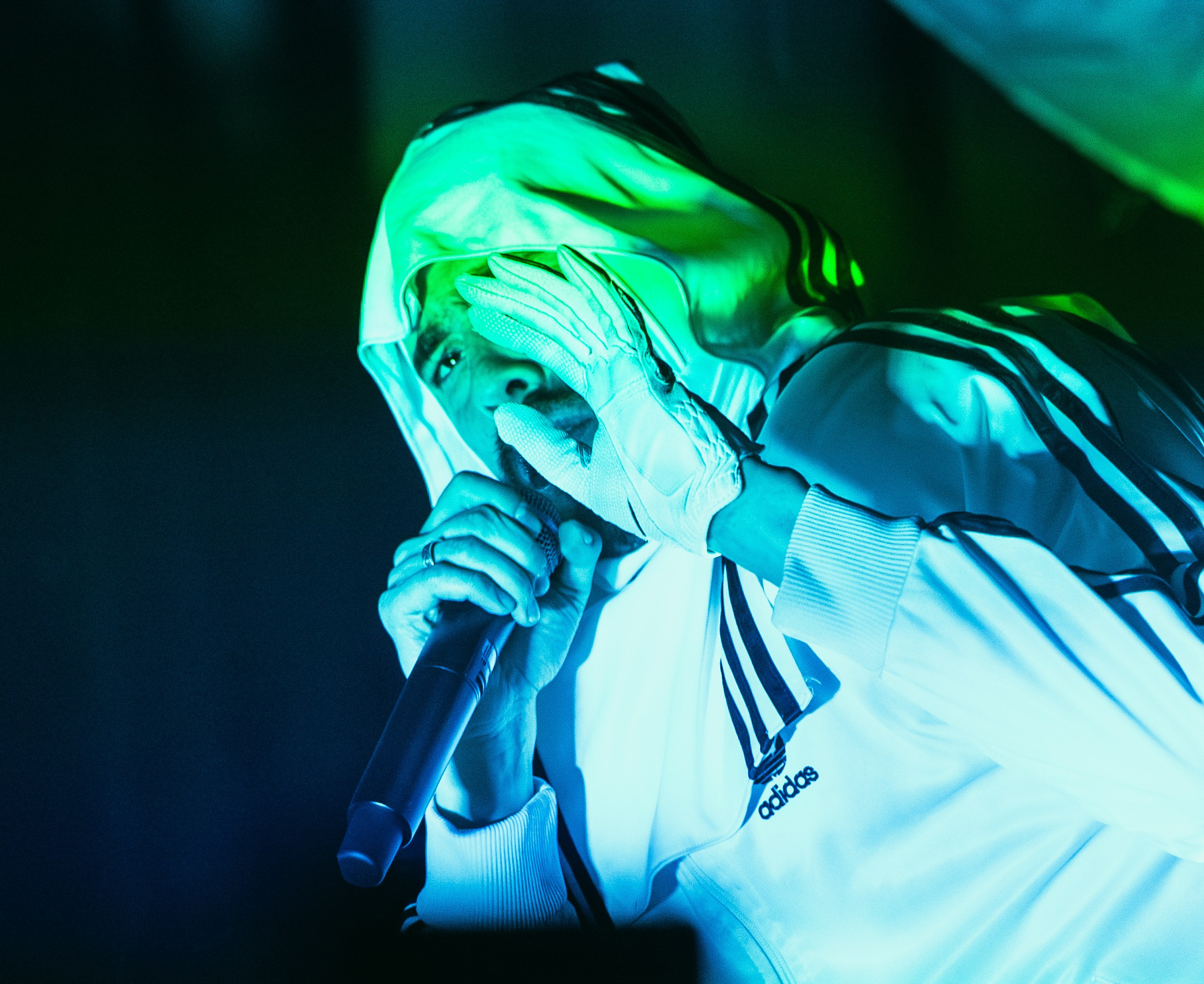 Хаски, Одинцово. Концертный фотограф Алёна Рейт в Москве