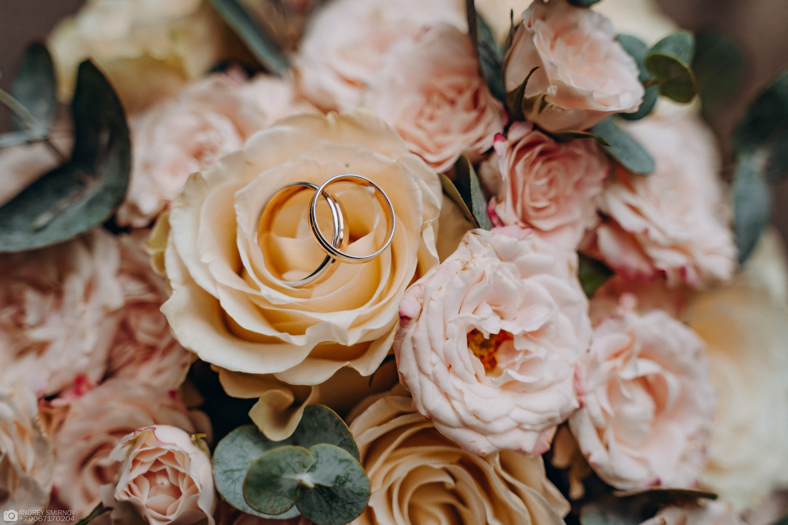 Свадьба. FOTOZ Studio / Фотовидеомейкер Андрей Смирнов