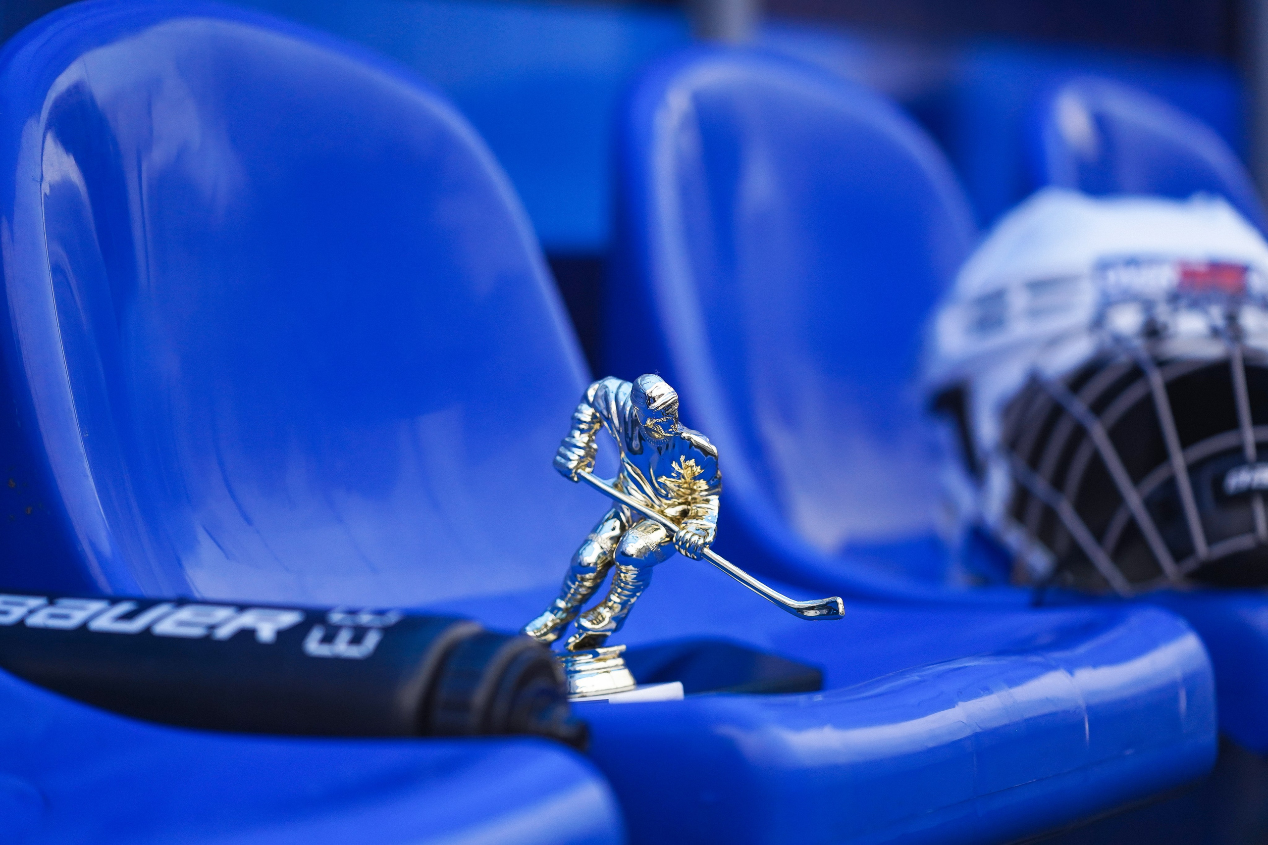 Хоккейный матч на ВДНХ. Анна, фотограф Москва, Зеленоград