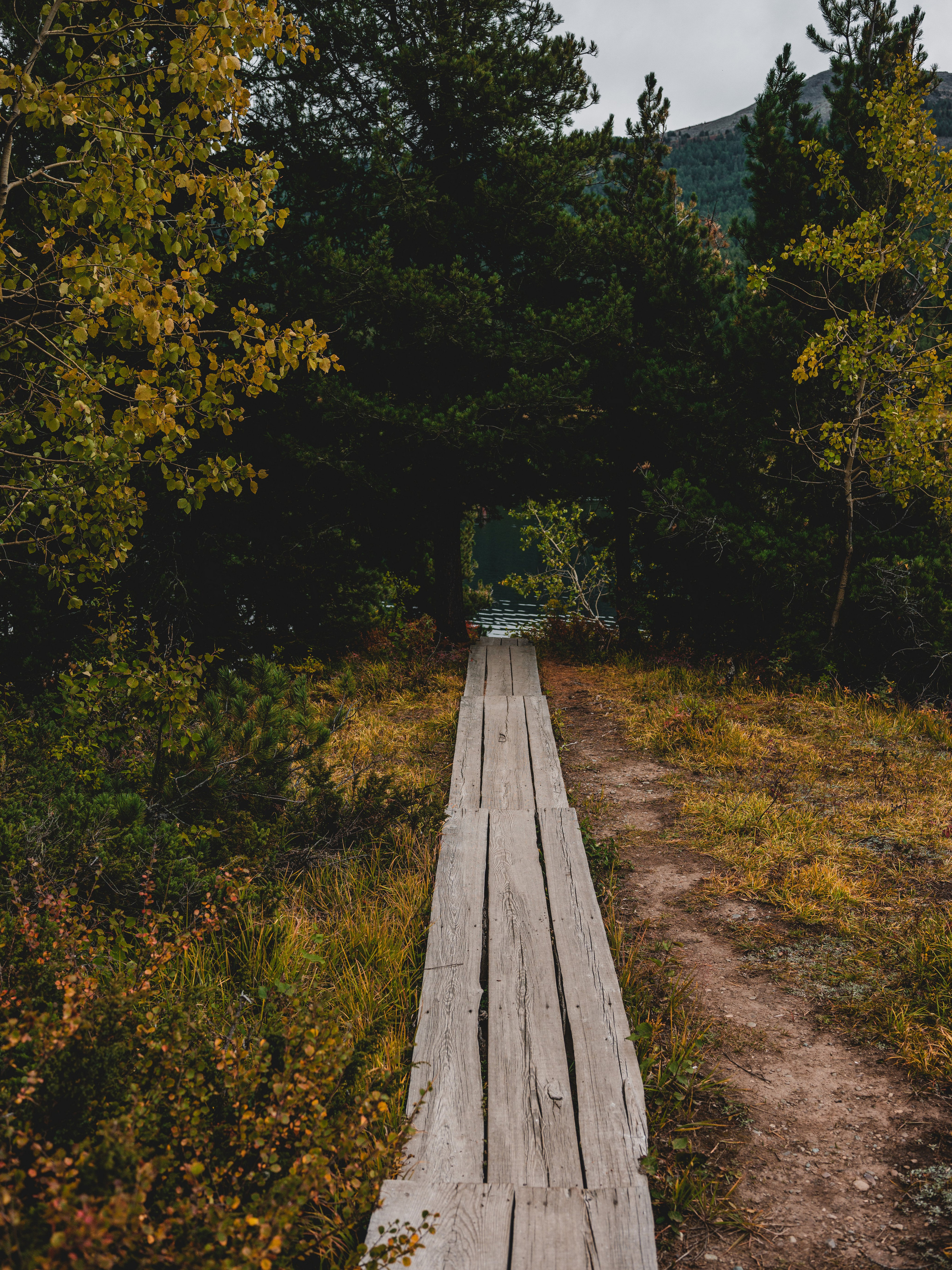 Экспедиция NatGeo Kazakhstan Алтай. Свадебный и Студийный фотограф из Казахстана Артем Орлянский